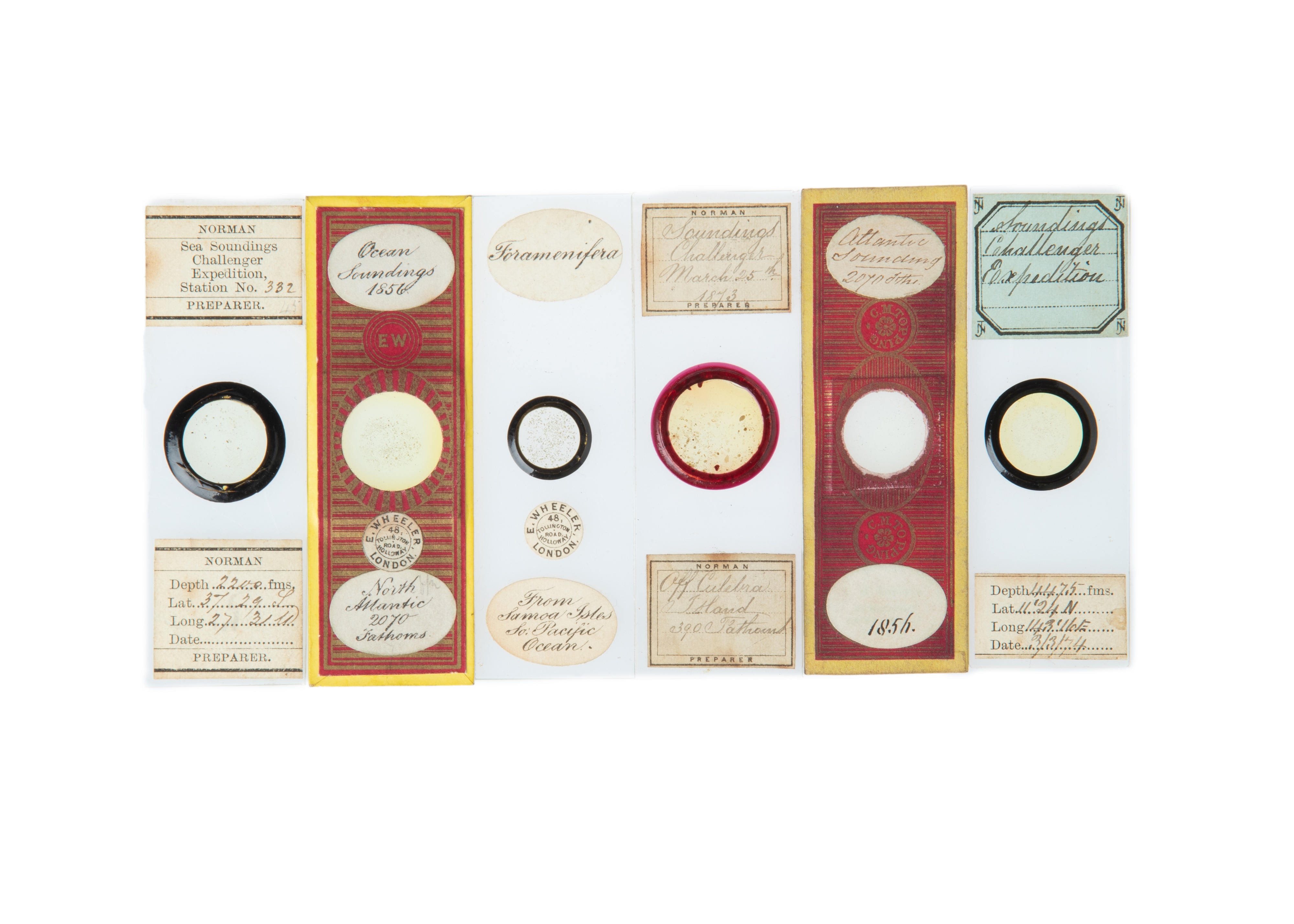 A Collection of 12 Challenger Expedition Microscope Slides, - Image 3 of 3