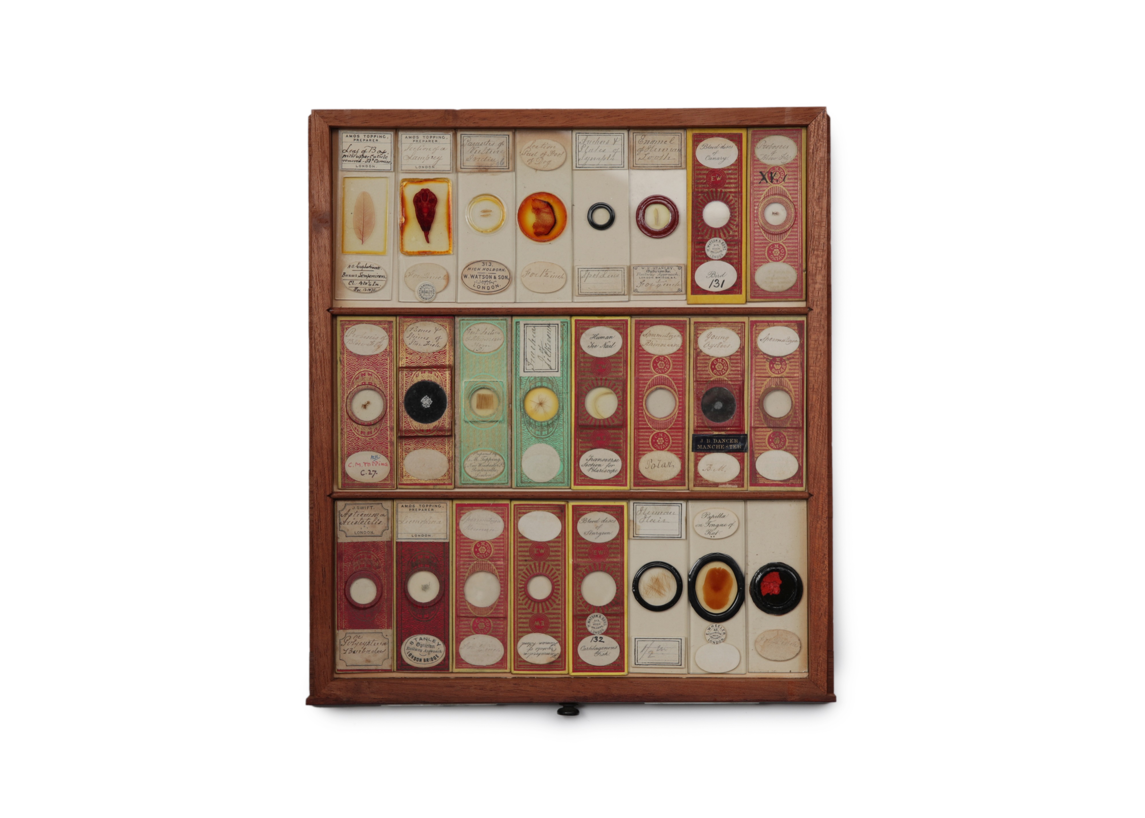 A Large Victorian Cabinet of Microscope Slides, - Image 4 of 20