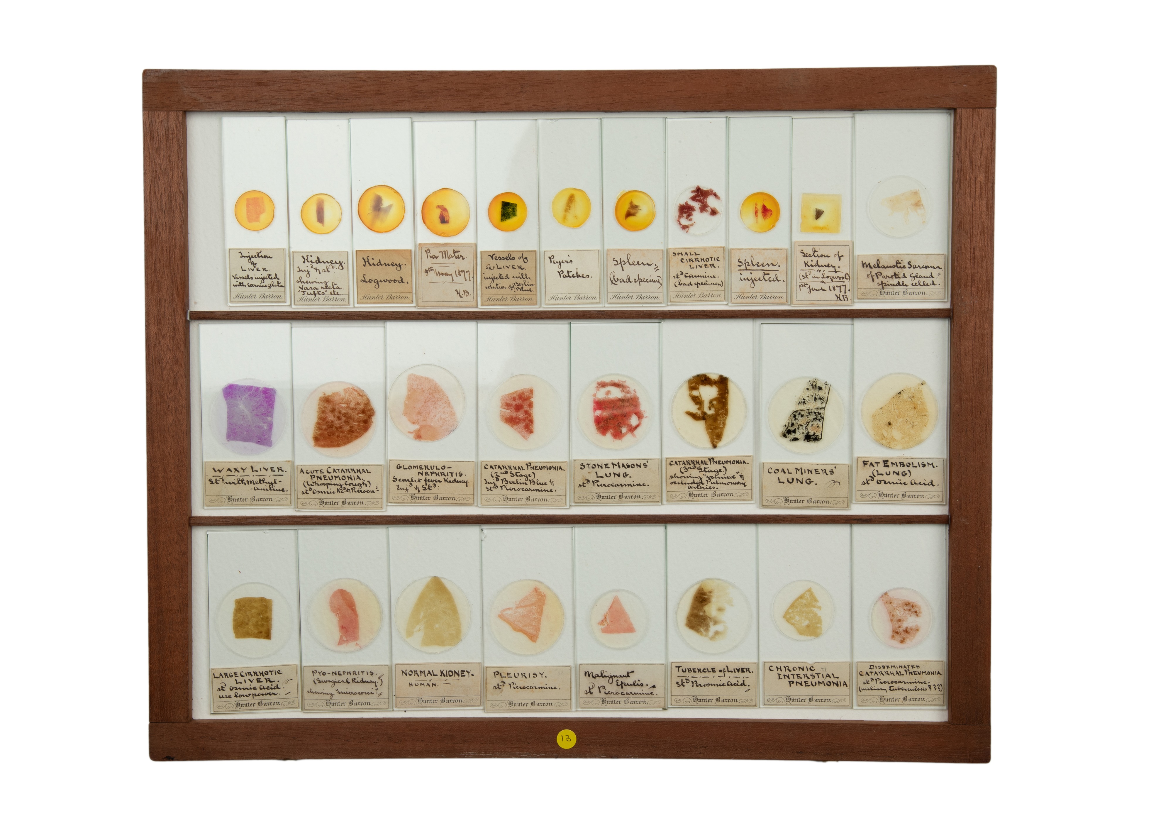 An Exceptional Single Owner Collection Of Victorian & Later Microscope Slides - Image 58 of 92