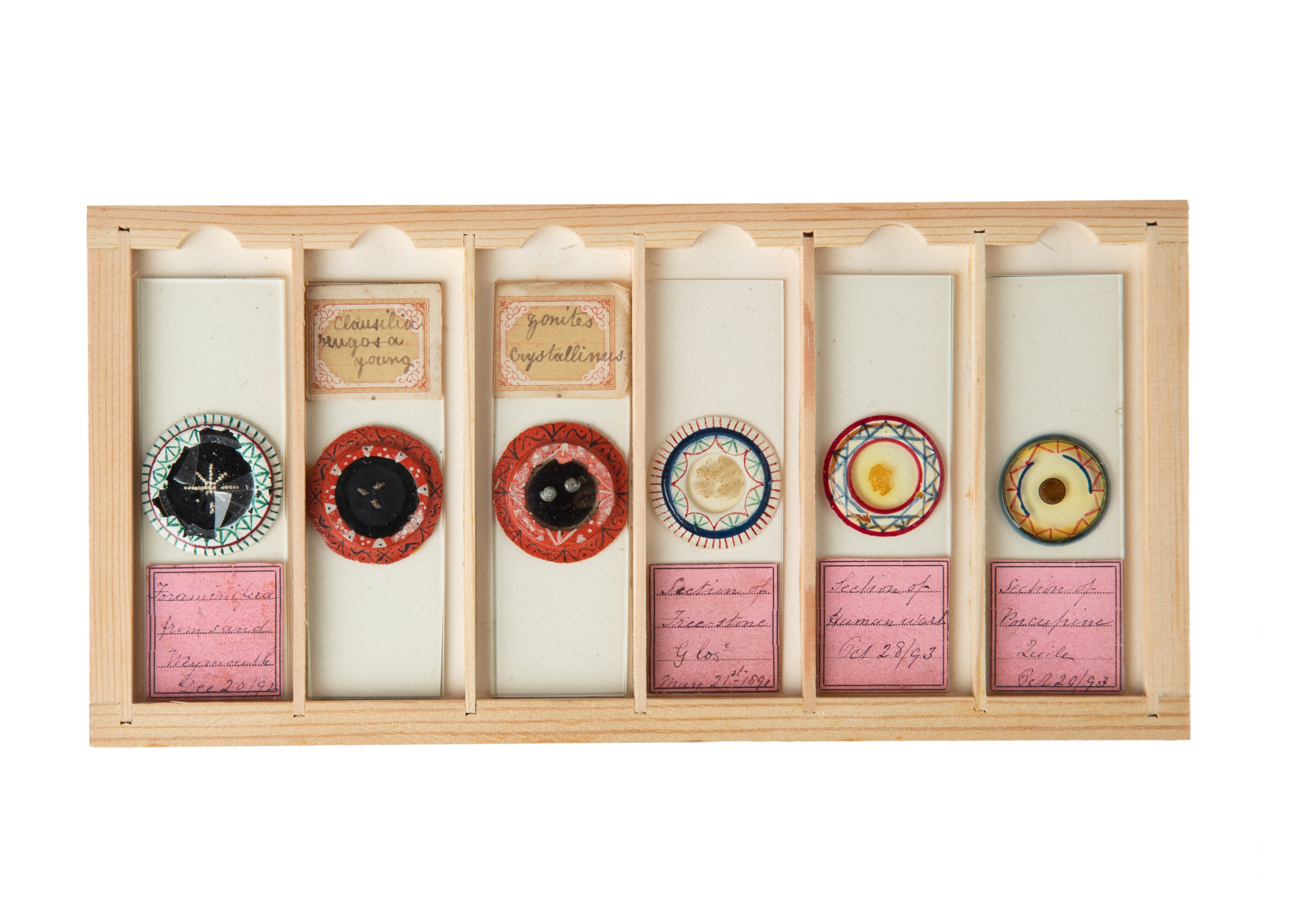 A Fine Set of Delicately Mounted Microscope Slides By James Neville, - Image 6 of 9