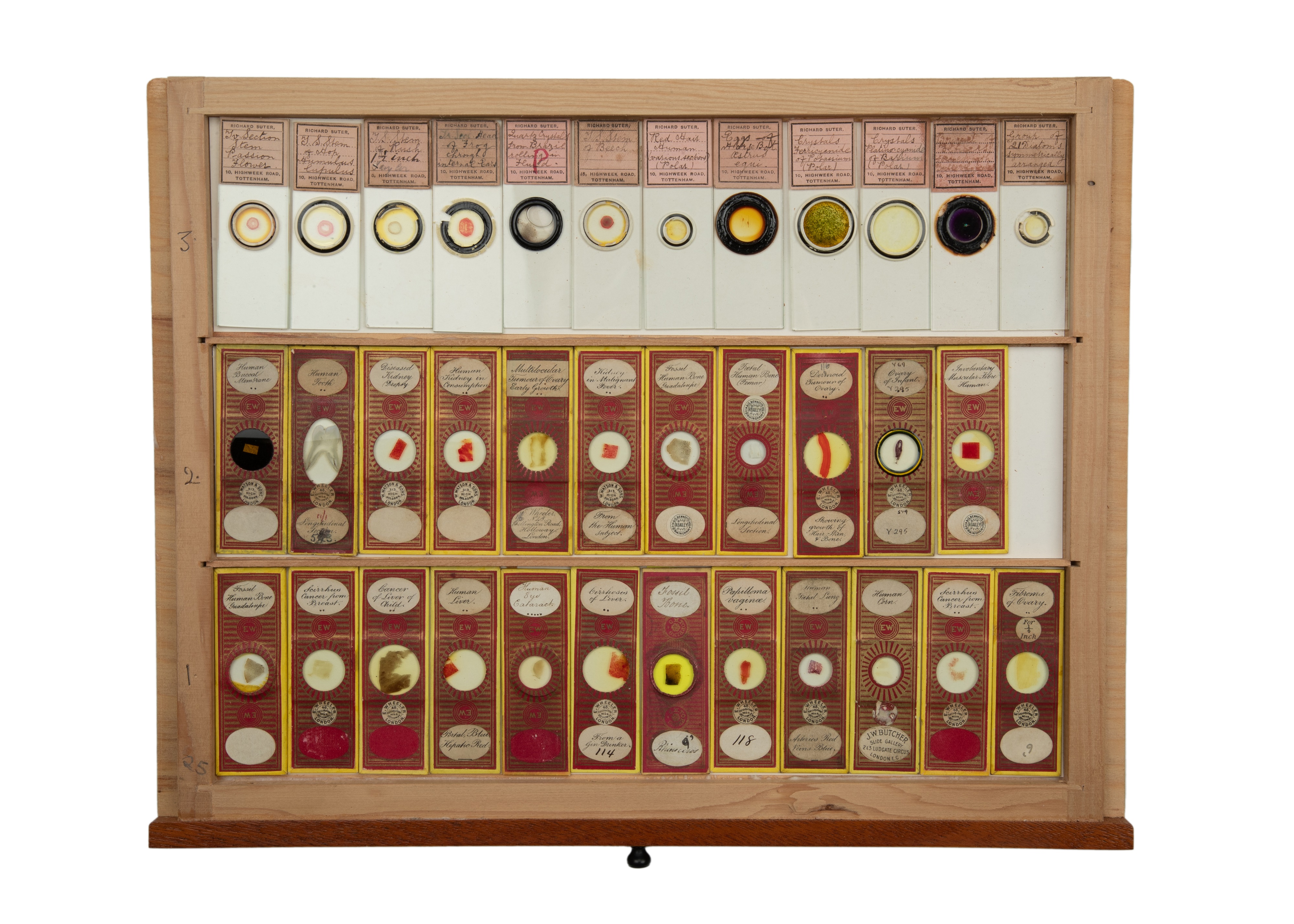 An Exceptional Single Owner Collection Of Victorian & Later Microscope Slides - Image 73 of 92