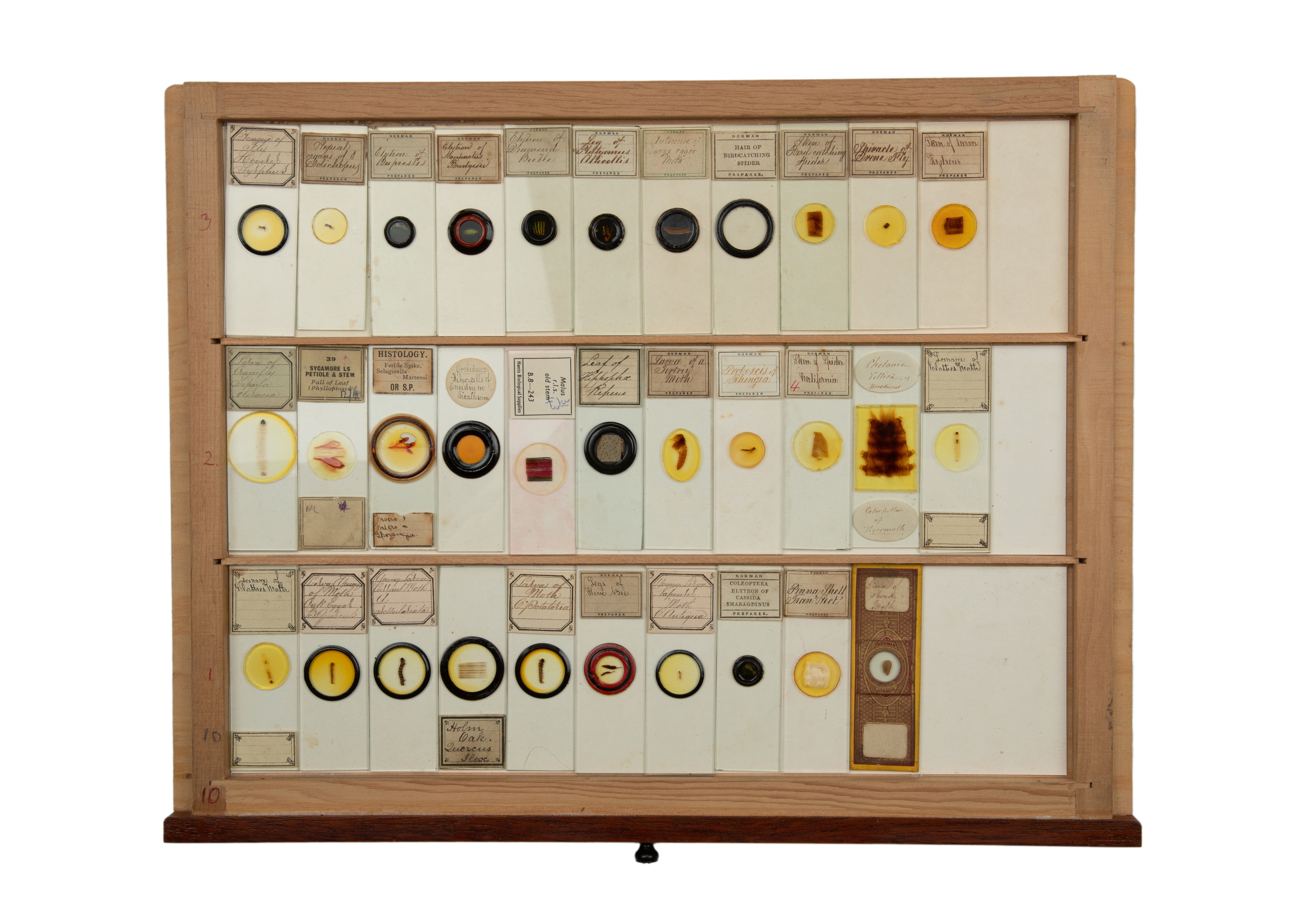 An Exceptional Single Owner Collection Of Victorian & Later Microscope Slides - Image 63 of 92
