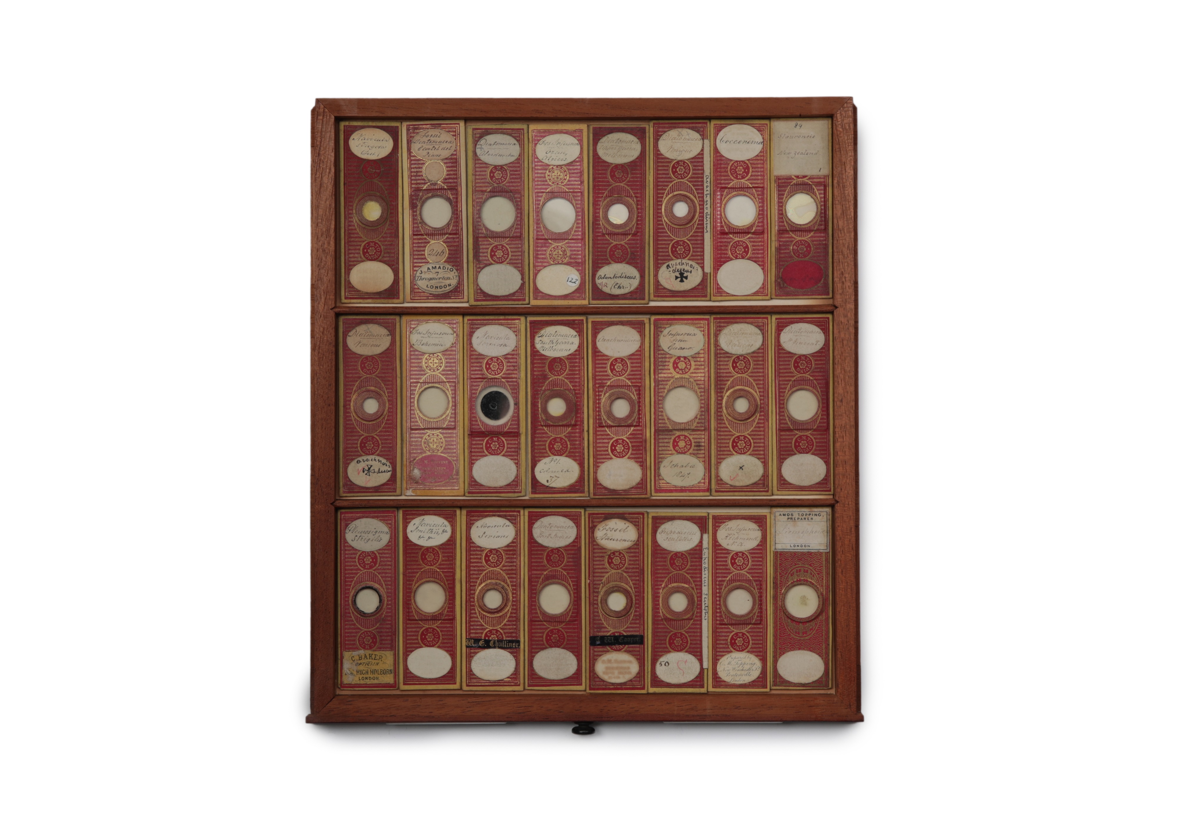 A Large Victorian Cabinet of Microscope Slides, - Image 10 of 20