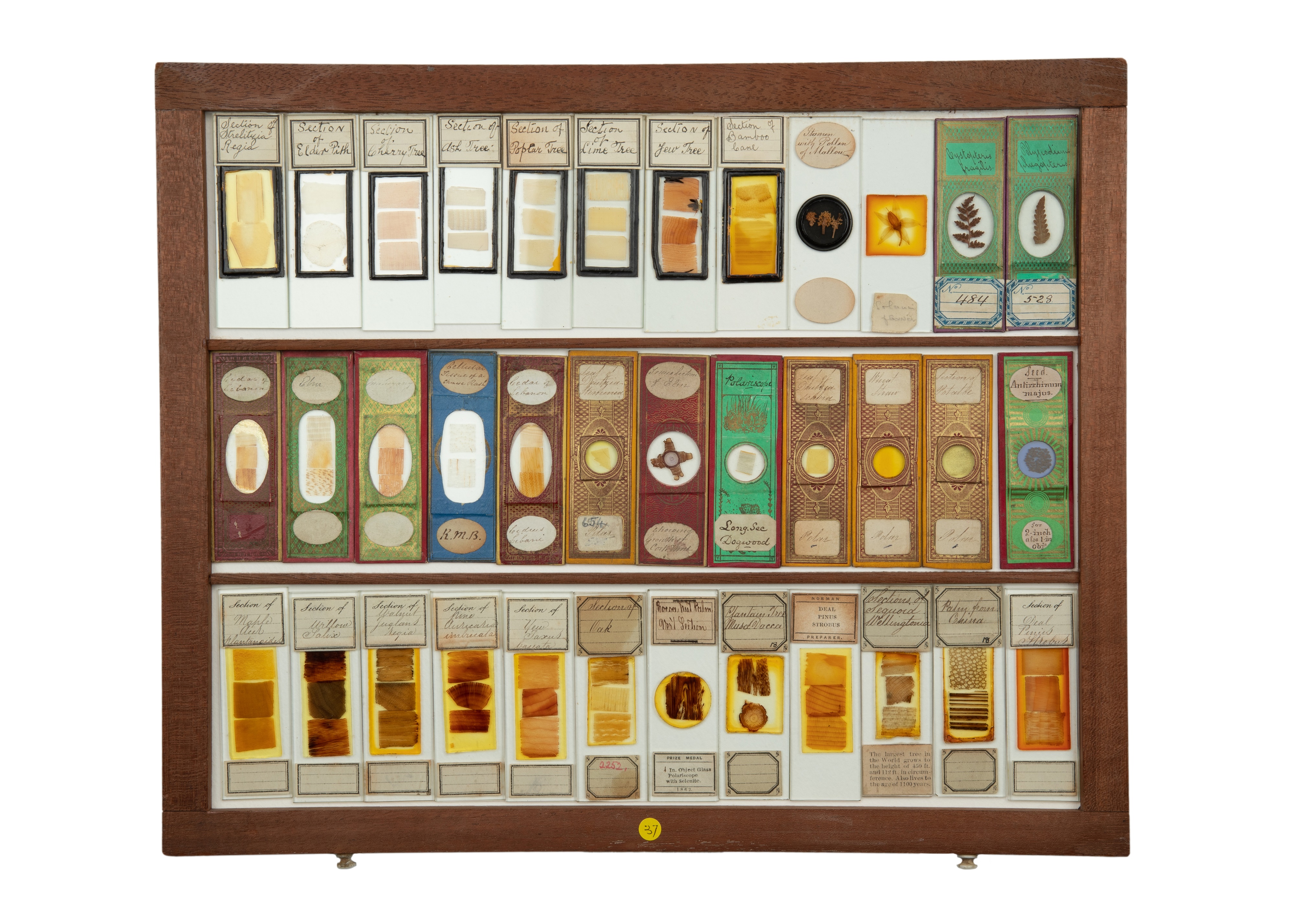 An Exceptional Single Owner Collection Of Victorian & Later Microscope Slides - Image 36 of 92