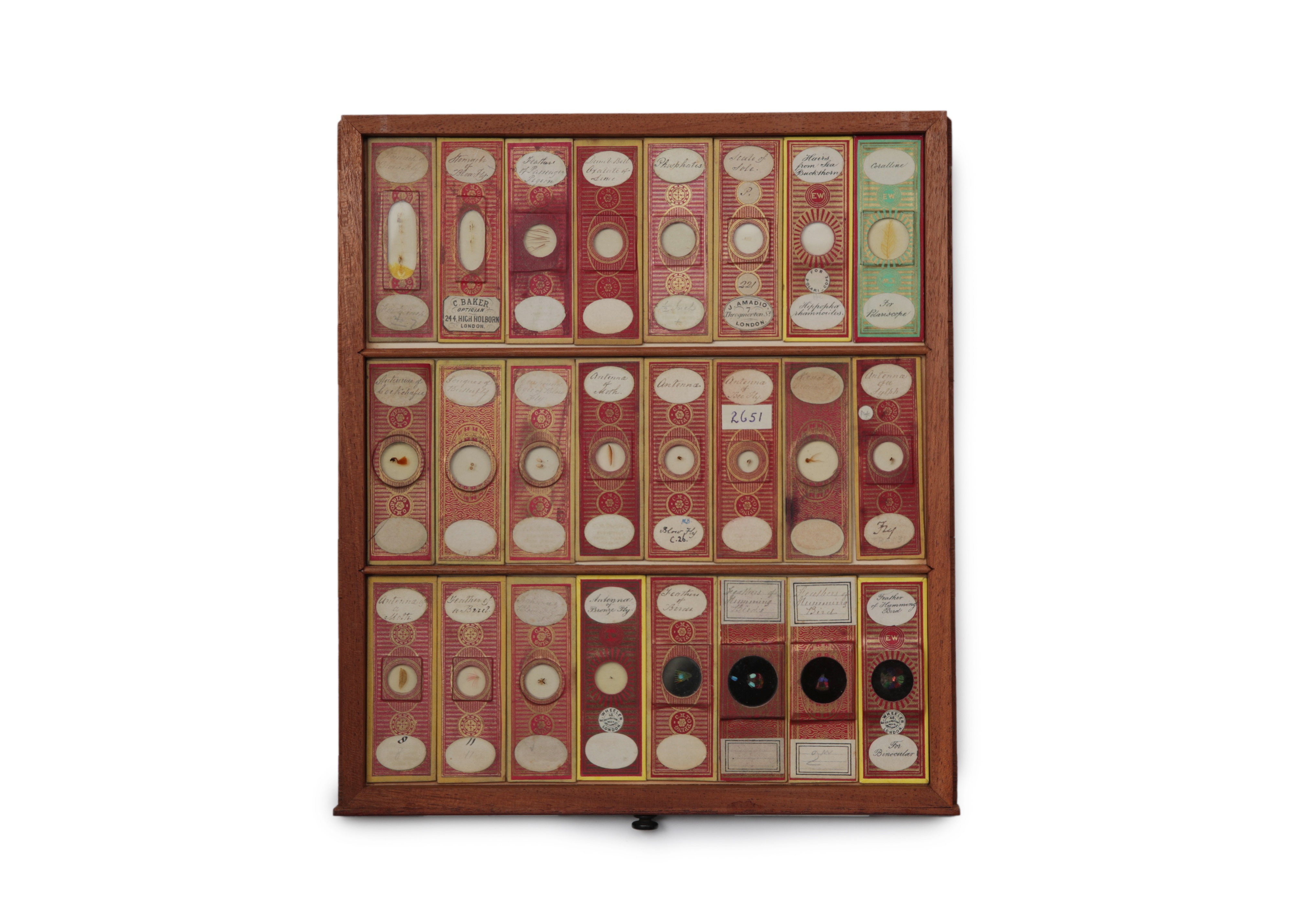 A Large Victorian Cabinet of Microscope Slides, - Image 11 of 20