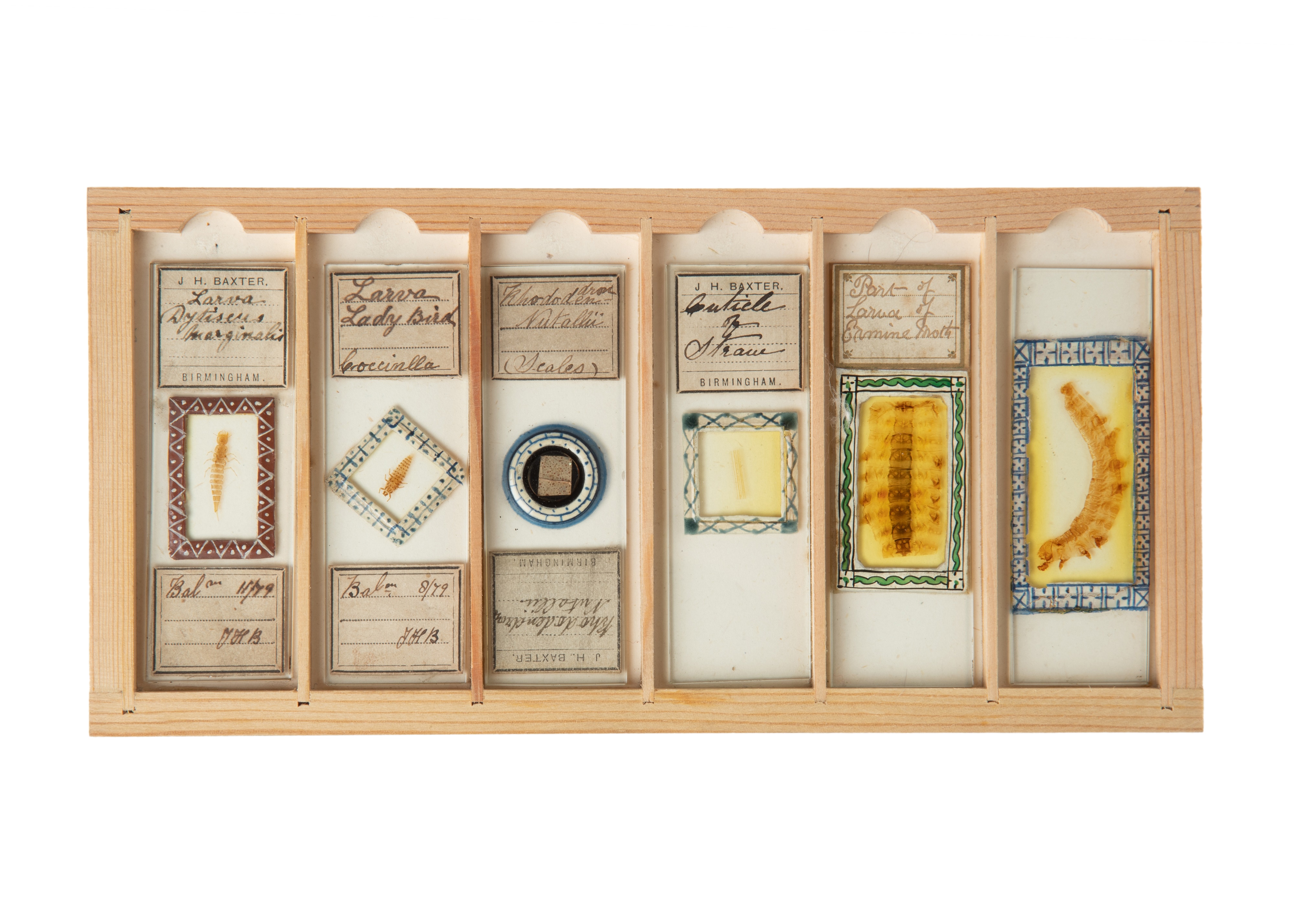 A Fine Set of Delicately Mounted Microscope Slides By James Neville, - Image 2 of 9