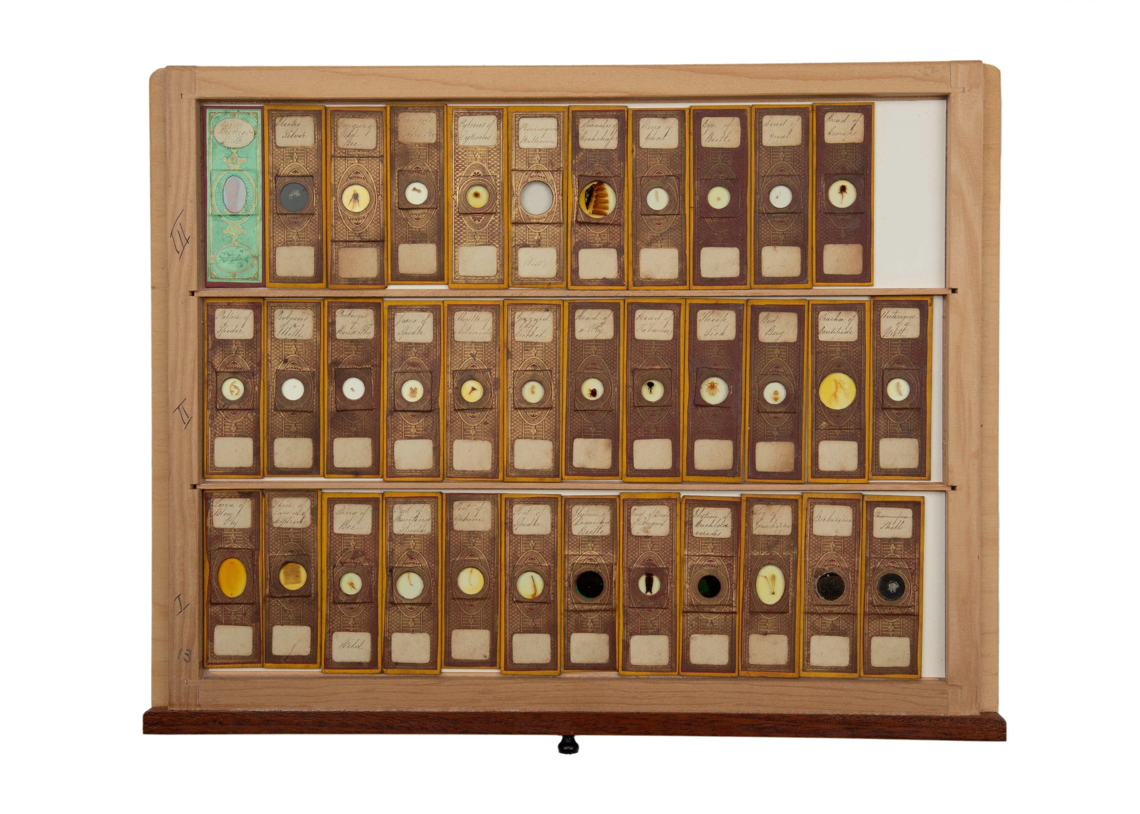 An Exceptional Single Owner Collection Of Victorian & Later Microscope Slides - Image 85 of 92