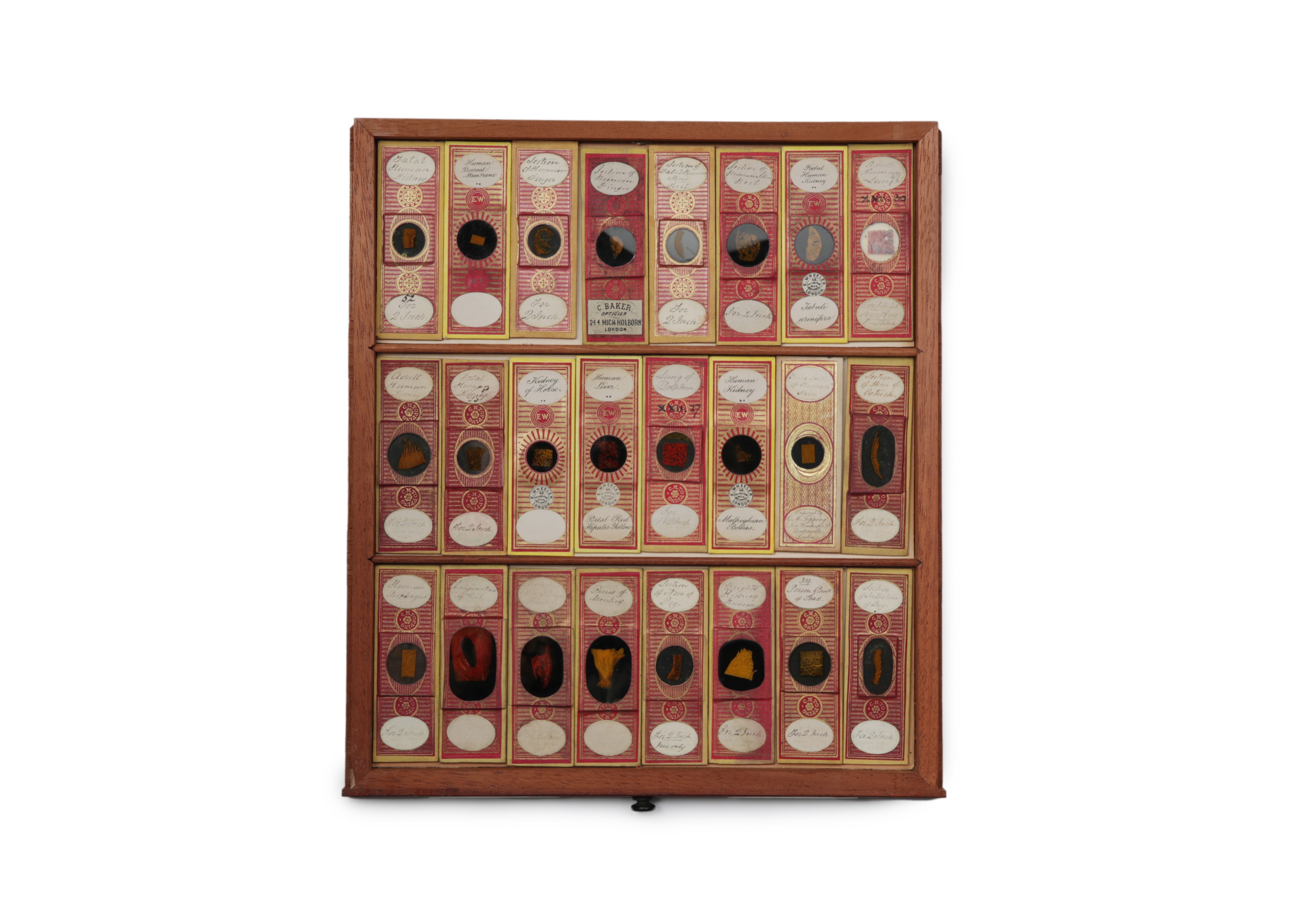 A Large Victorian Cabinet of Microscope Slides, - Image 6 of 20