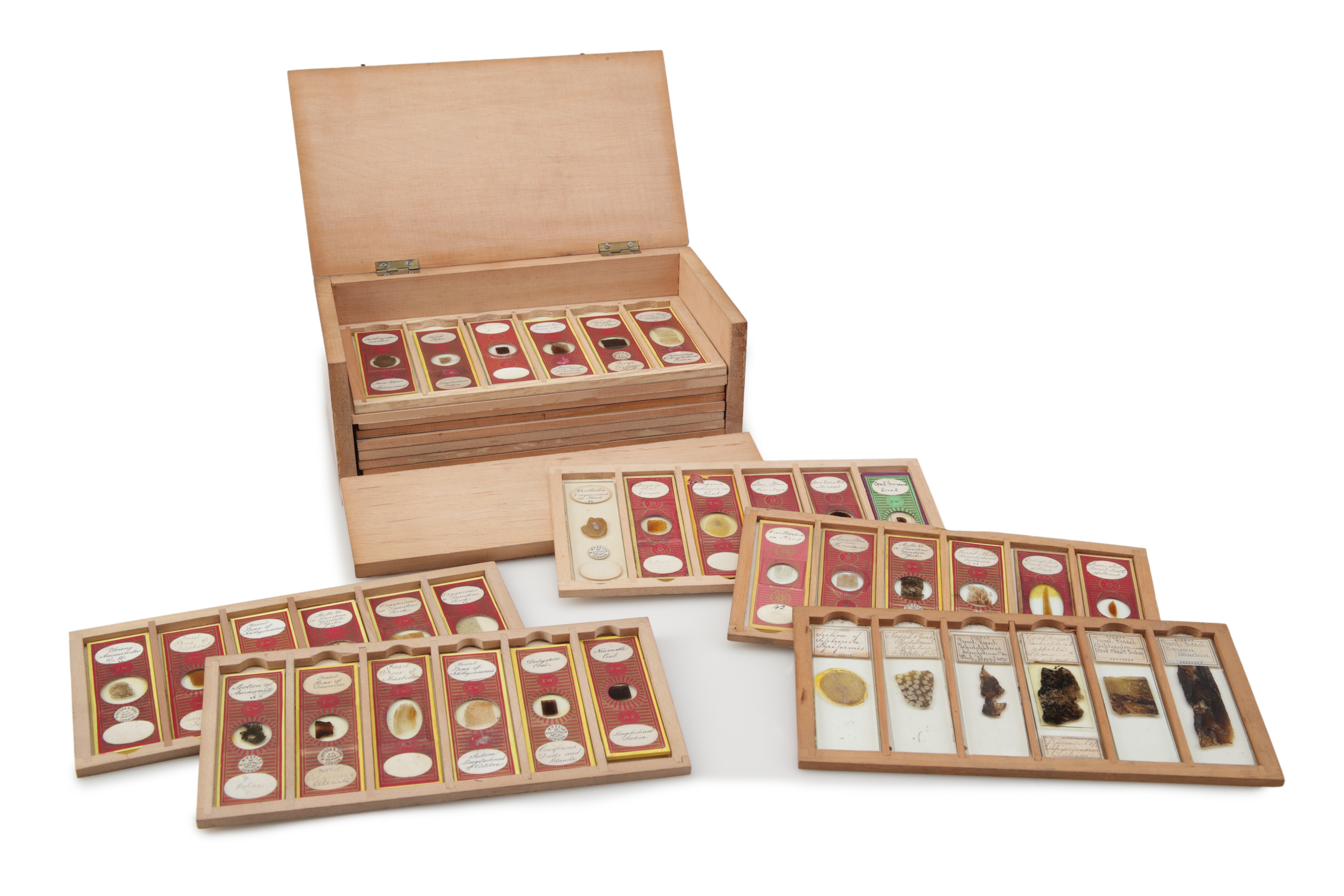 A Very Fine Collection of 76 19th Century Microscope Slides of Fossils,