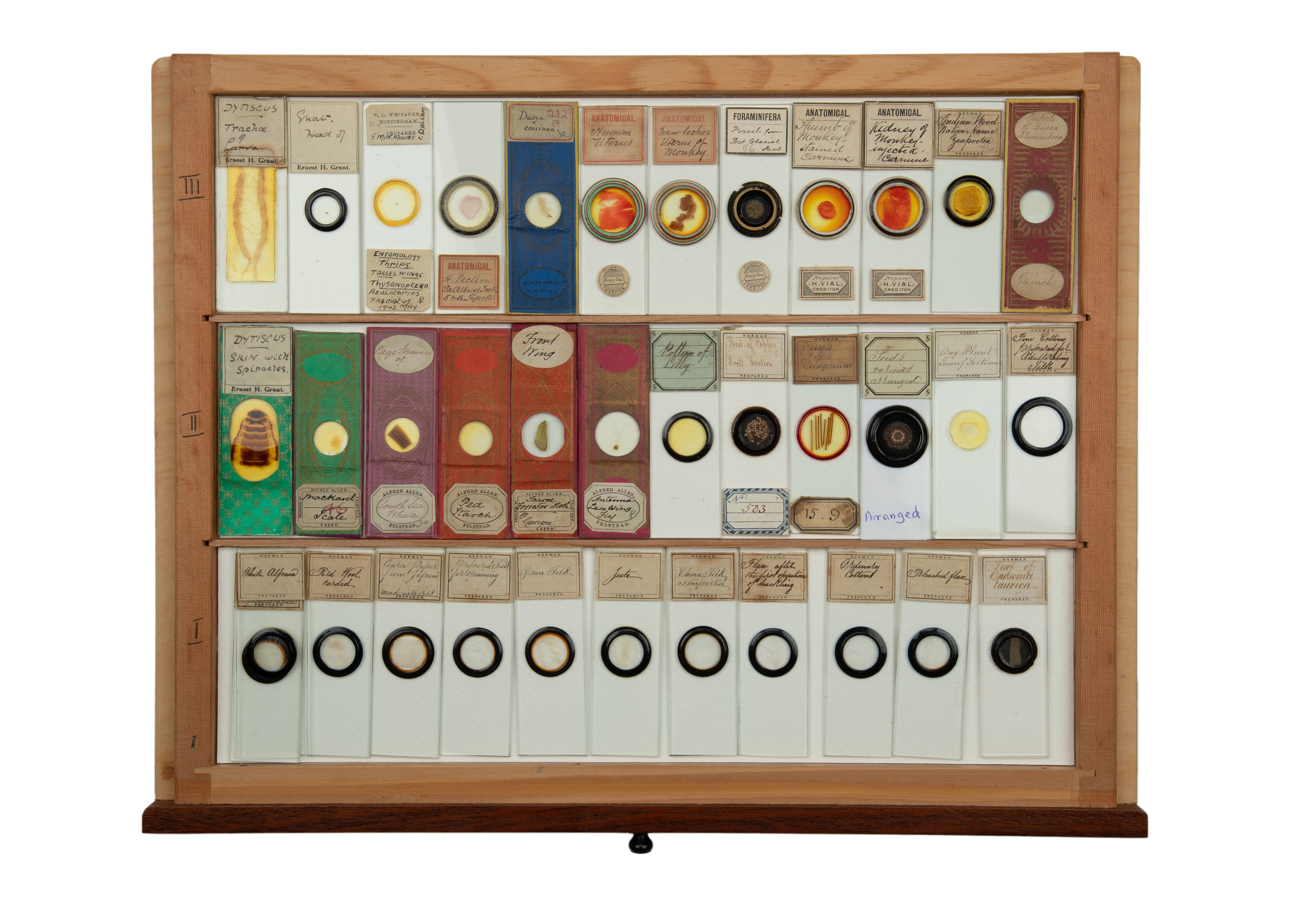 An Exceptional Single Owner Collection Of Victorian & Later Microscope Slides - Image 88 of 92