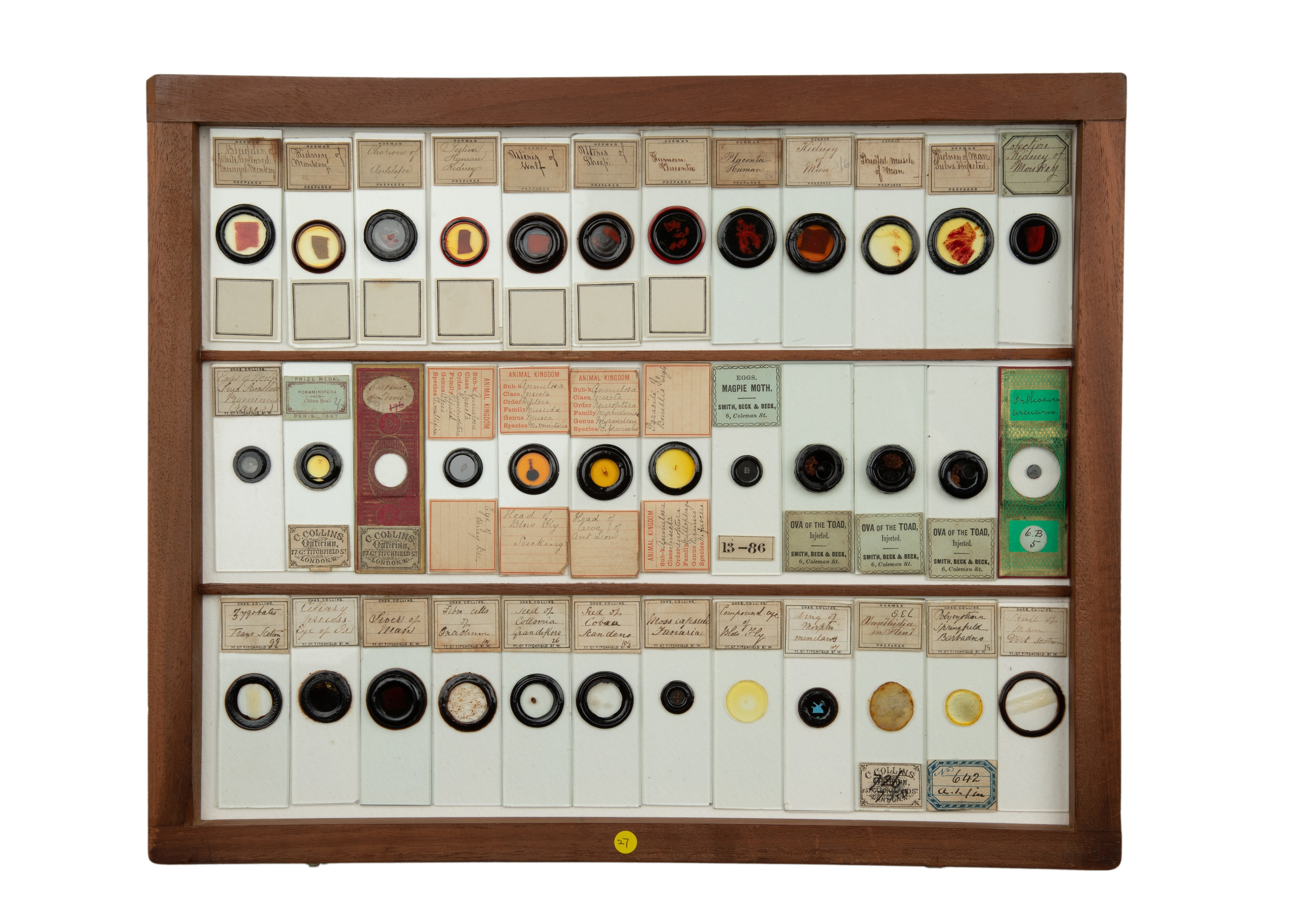 An Exceptional Single Owner Collection Of Victorian & Later Microscope Slides - Image 31 of 92