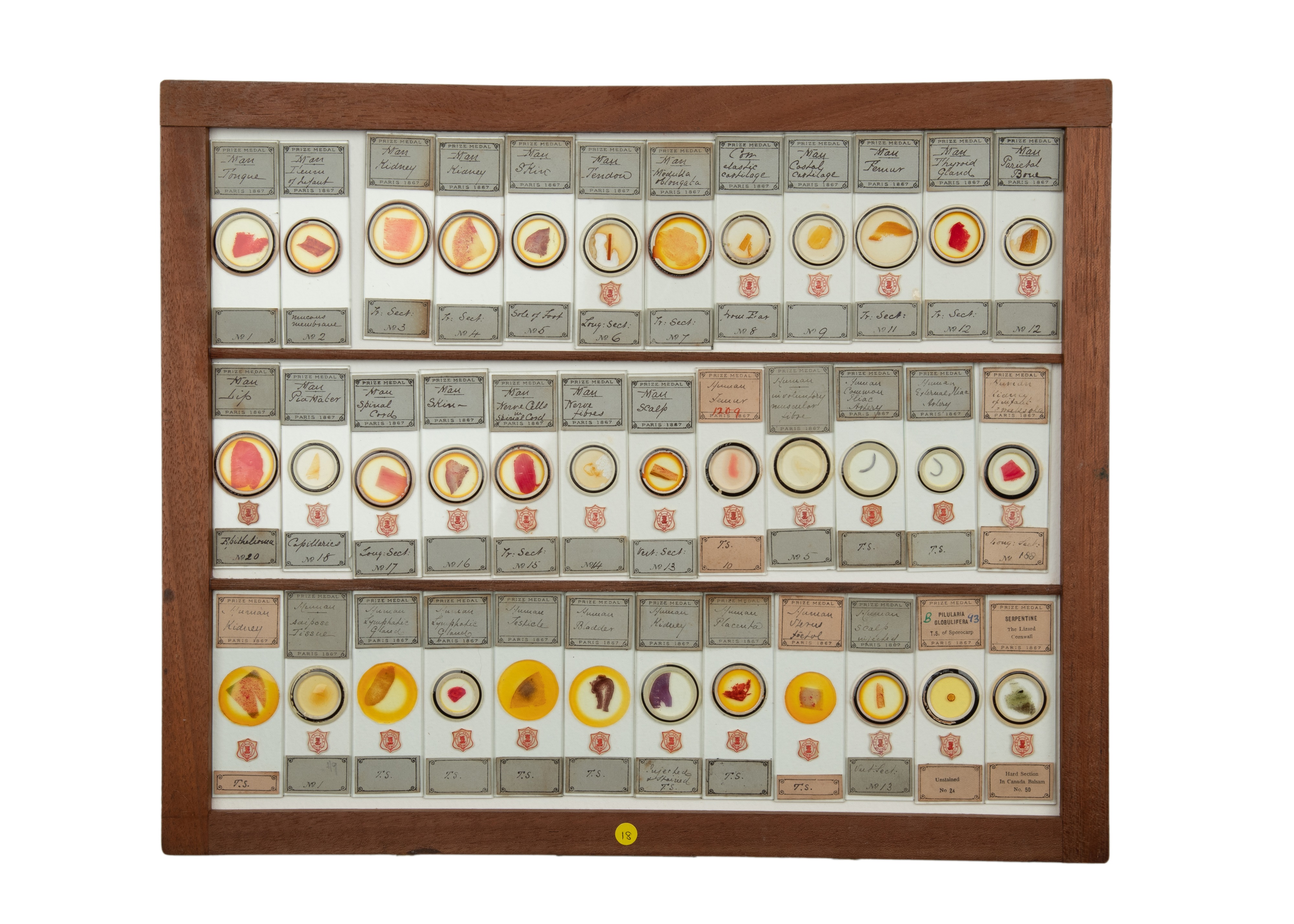 An Exceptional Single Owner Collection Of Victorian & Later Microscope Slides - Image 56 of 92