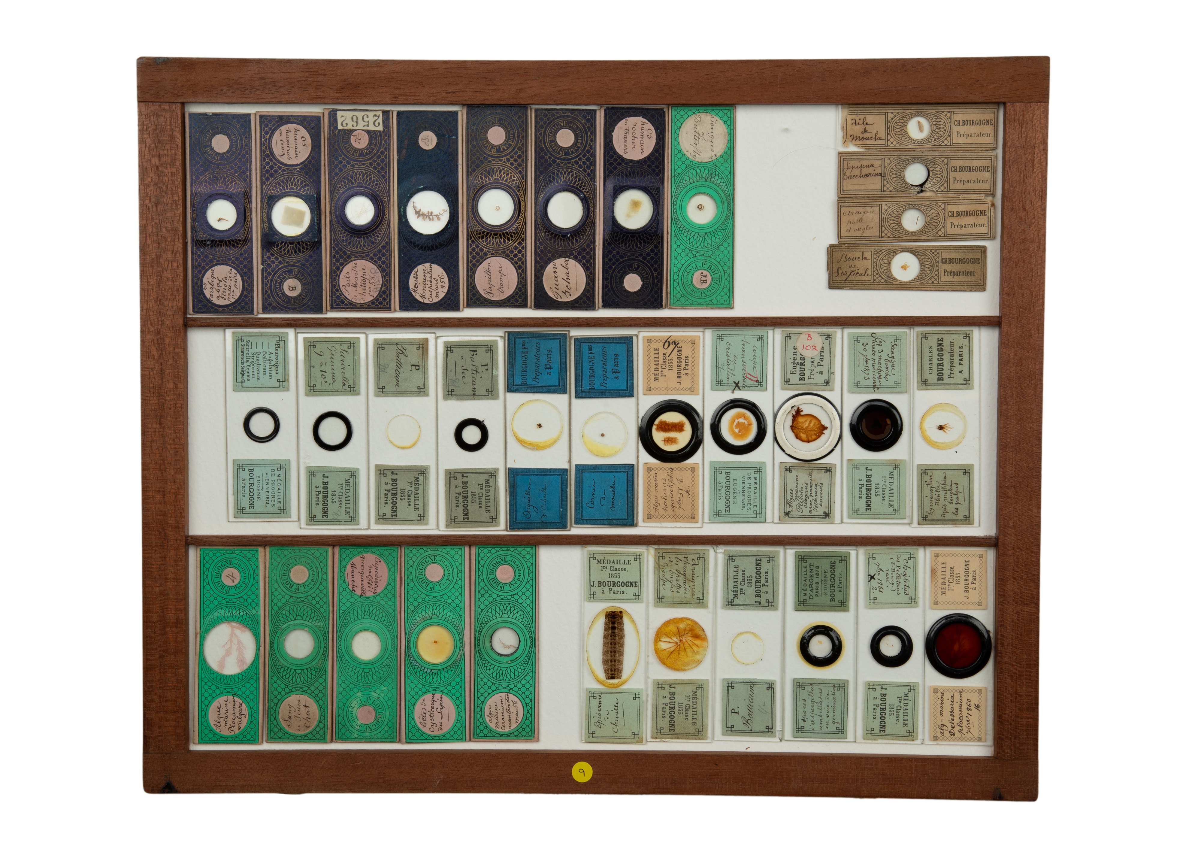 An Exceptional Single Owner Collection Of Victorian & Later Microscope Slides - Image 51 of 92