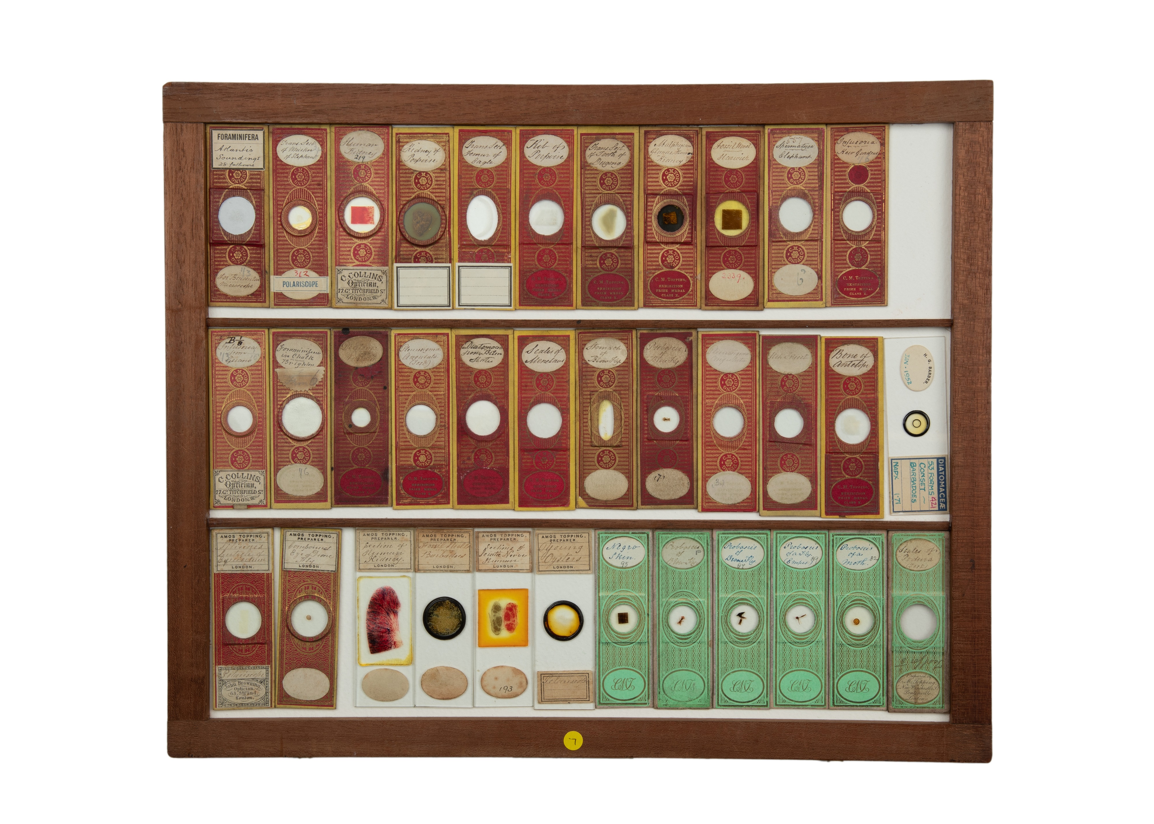 An Exceptional Single Owner Collection Of Victorian & Later Microscope Slides - Image 49 of 92
