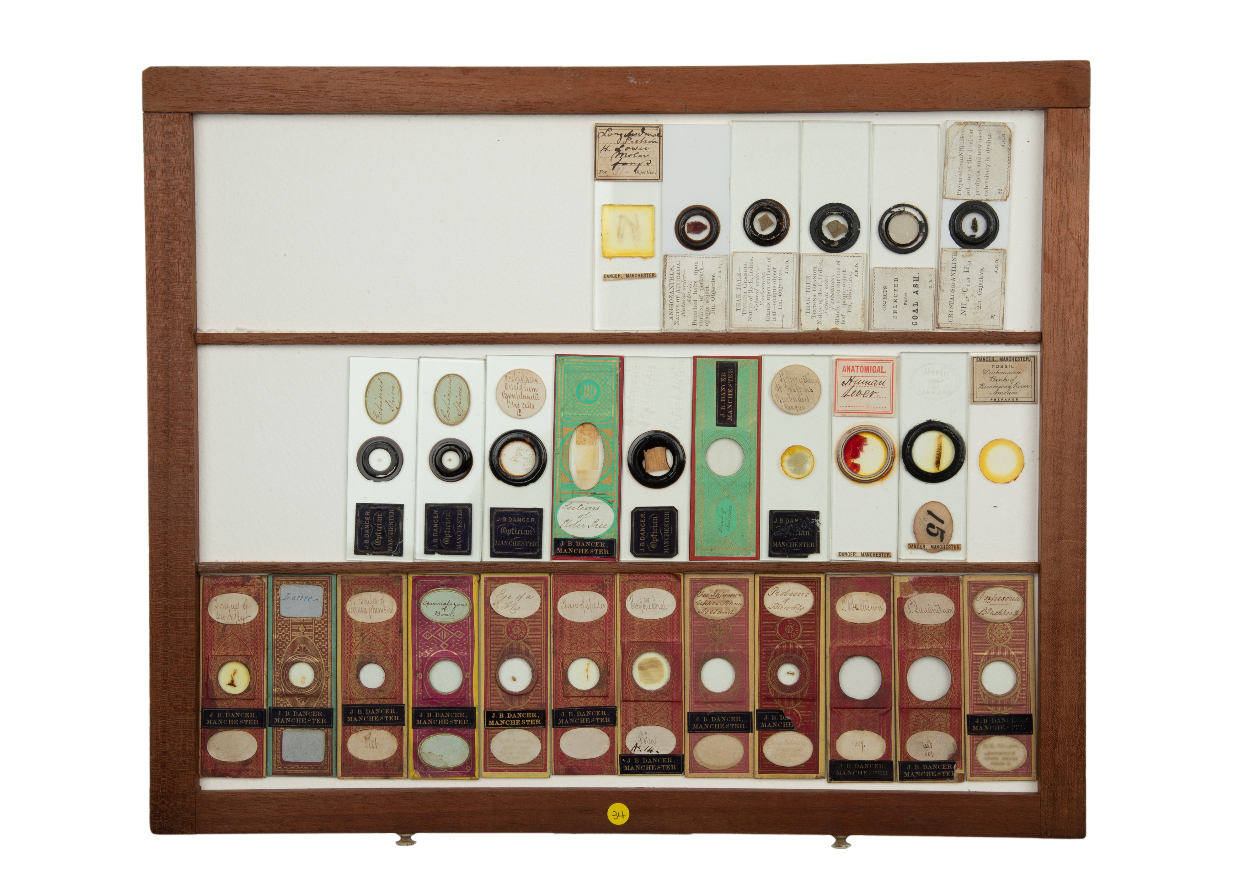 An Exceptional Single Owner Collection Of Victorian & Later Microscope Slides - Image 40 of 92