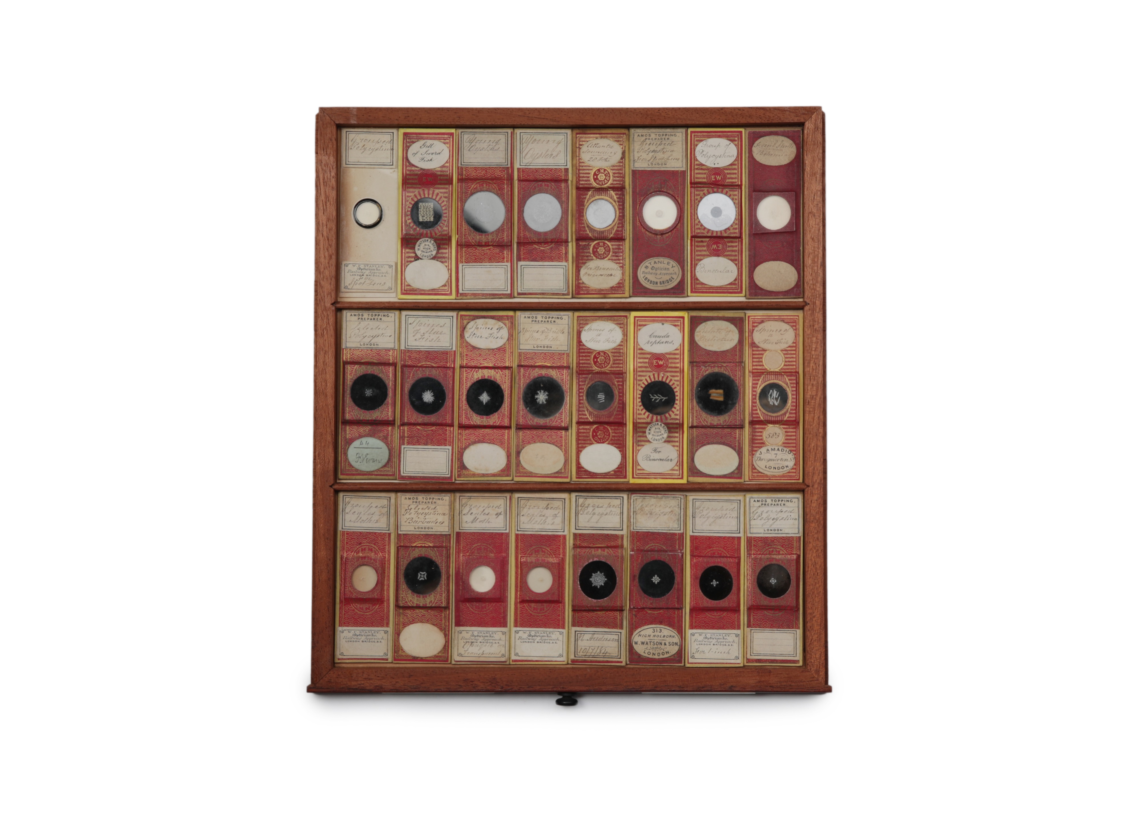 A Large Victorian Cabinet of Microscope Slides, - Image 13 of 20