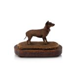 Taxidermy - A Victorian 'Chinese Muff Dog'