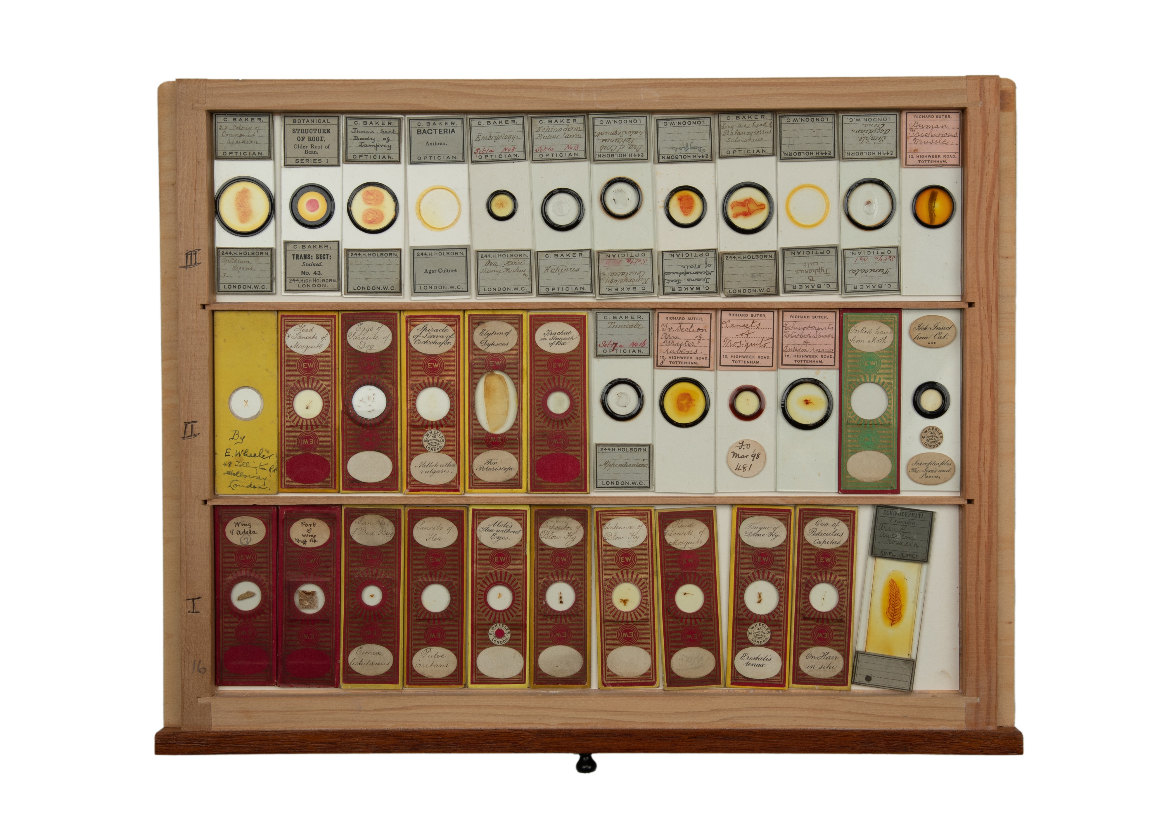 An Exceptional Single Owner Collection Of Victorian & Later Microscope Slides - Image 91 of 92