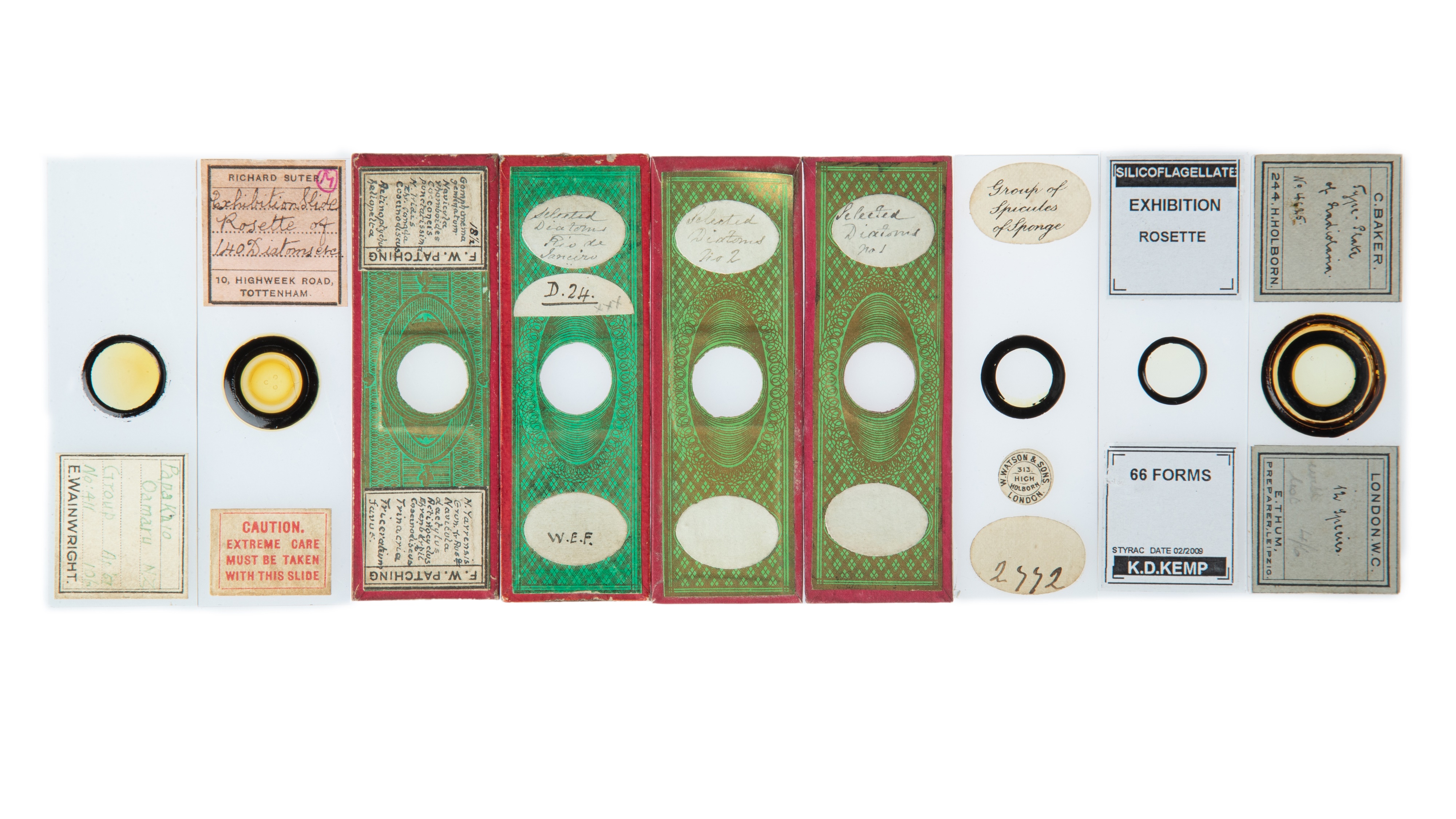 An Impressive Collection of Arranged Diatom & Foraminifera Microscope Slides,