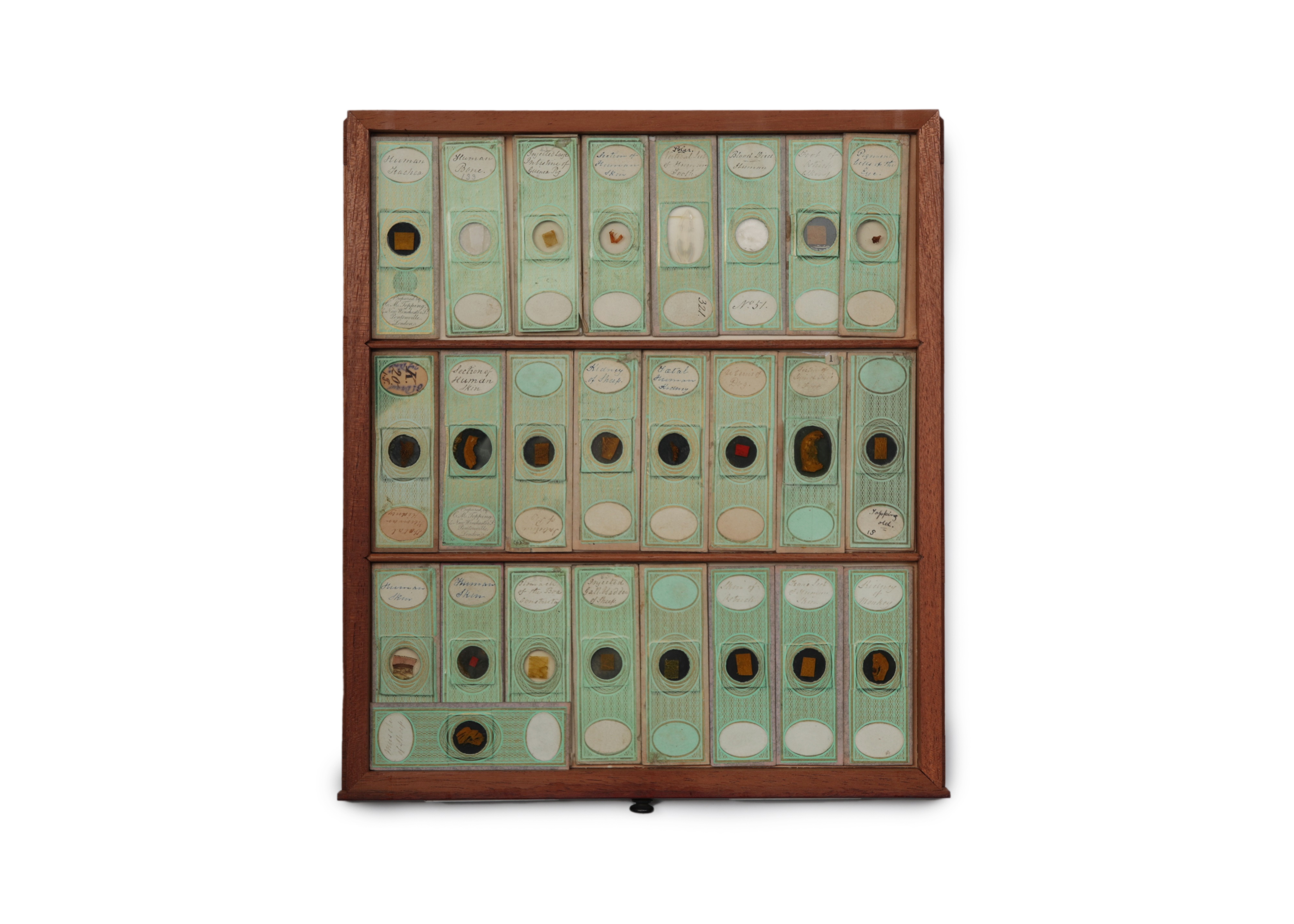 A Large Victorian Cabinet of Microscope Slides, - Image 7 of 20
