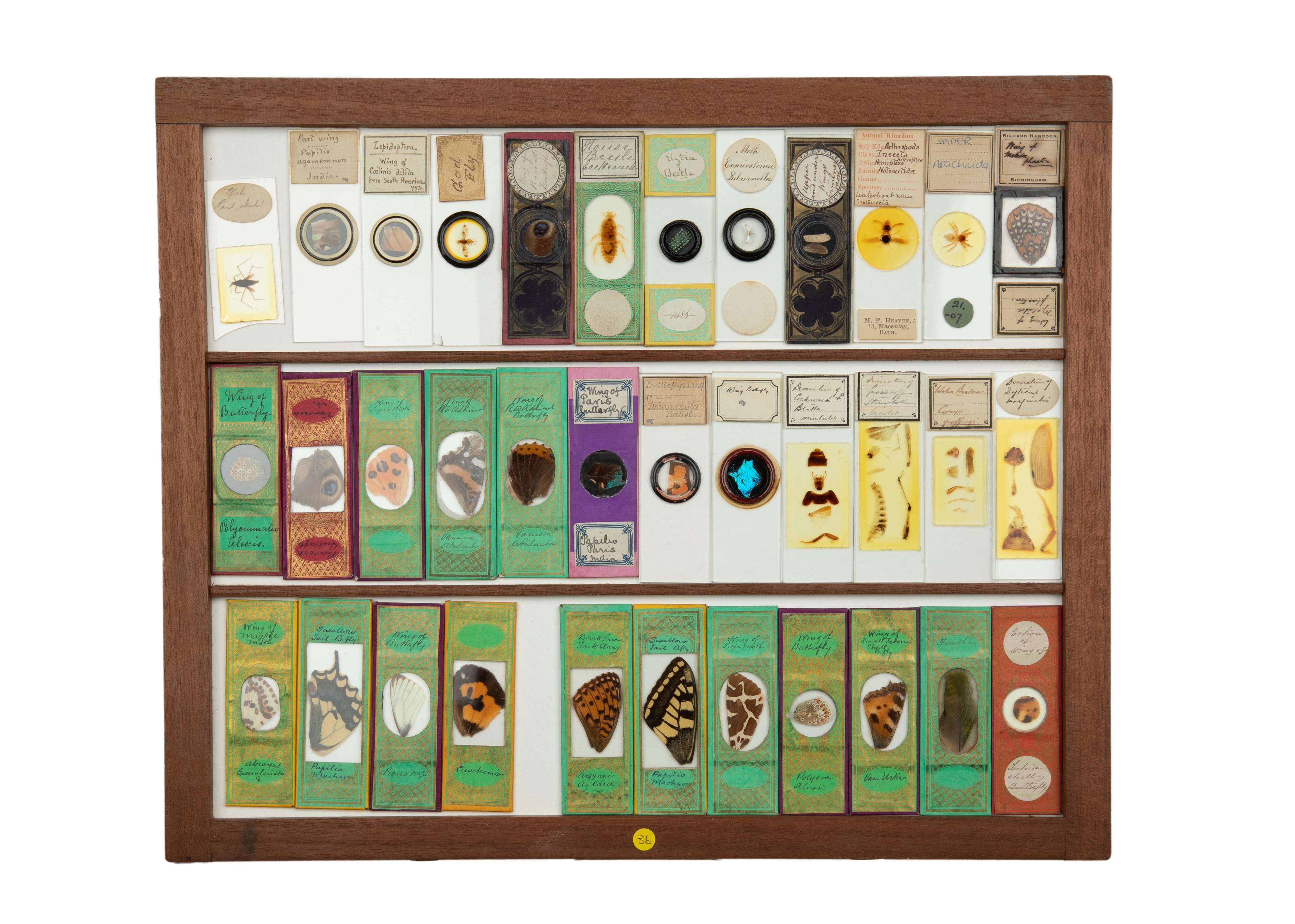 An Exceptional Single Owner Collection Of Victorian & Later Microscope Slides - Image 54 of 92