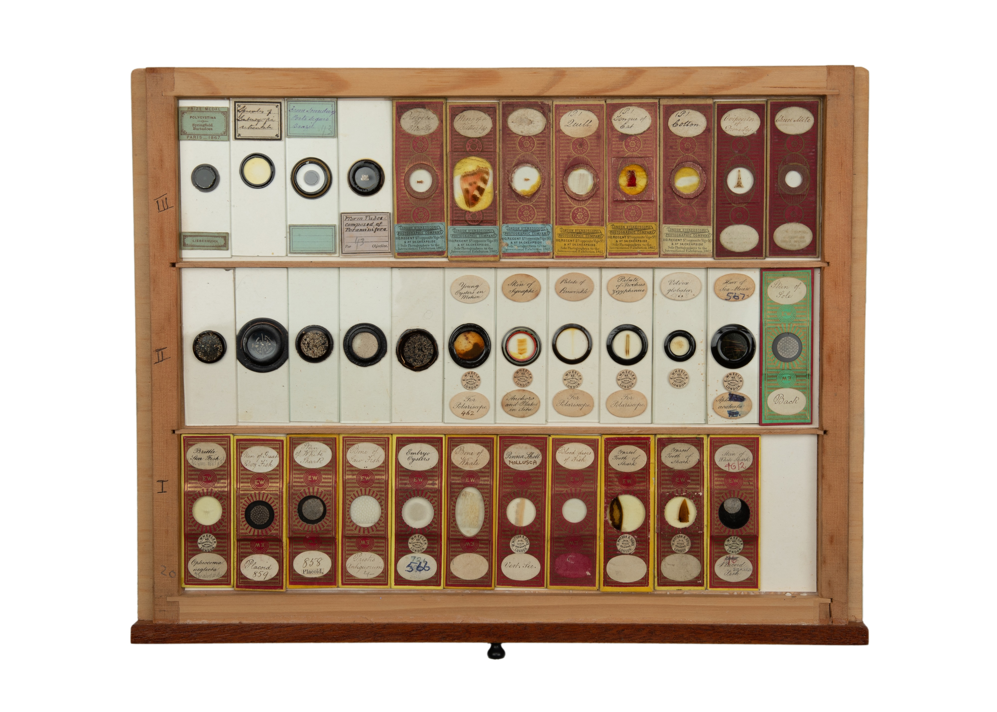 An Exceptional Single Owner Collection Of Victorian & Later Microscope Slides - Image 82 of 92