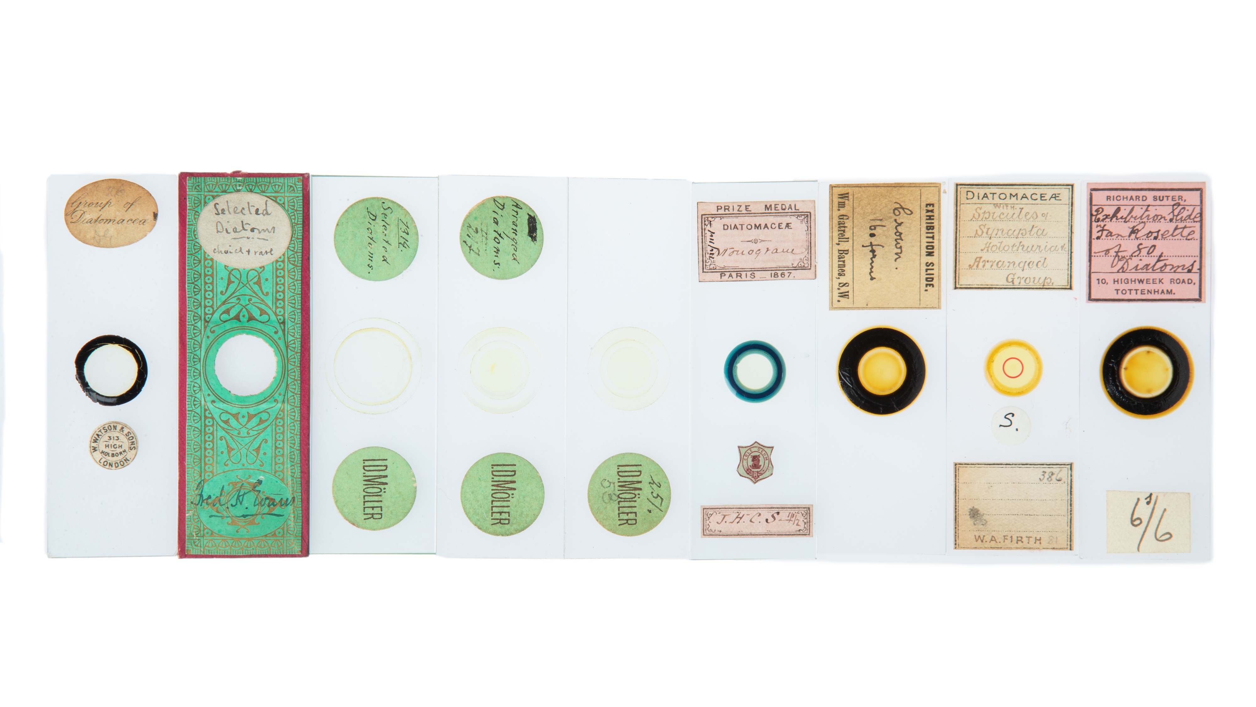 An Impressive Collection of Arranged Diatom & Foraminifera Microscope Slides, - Image 16 of 19