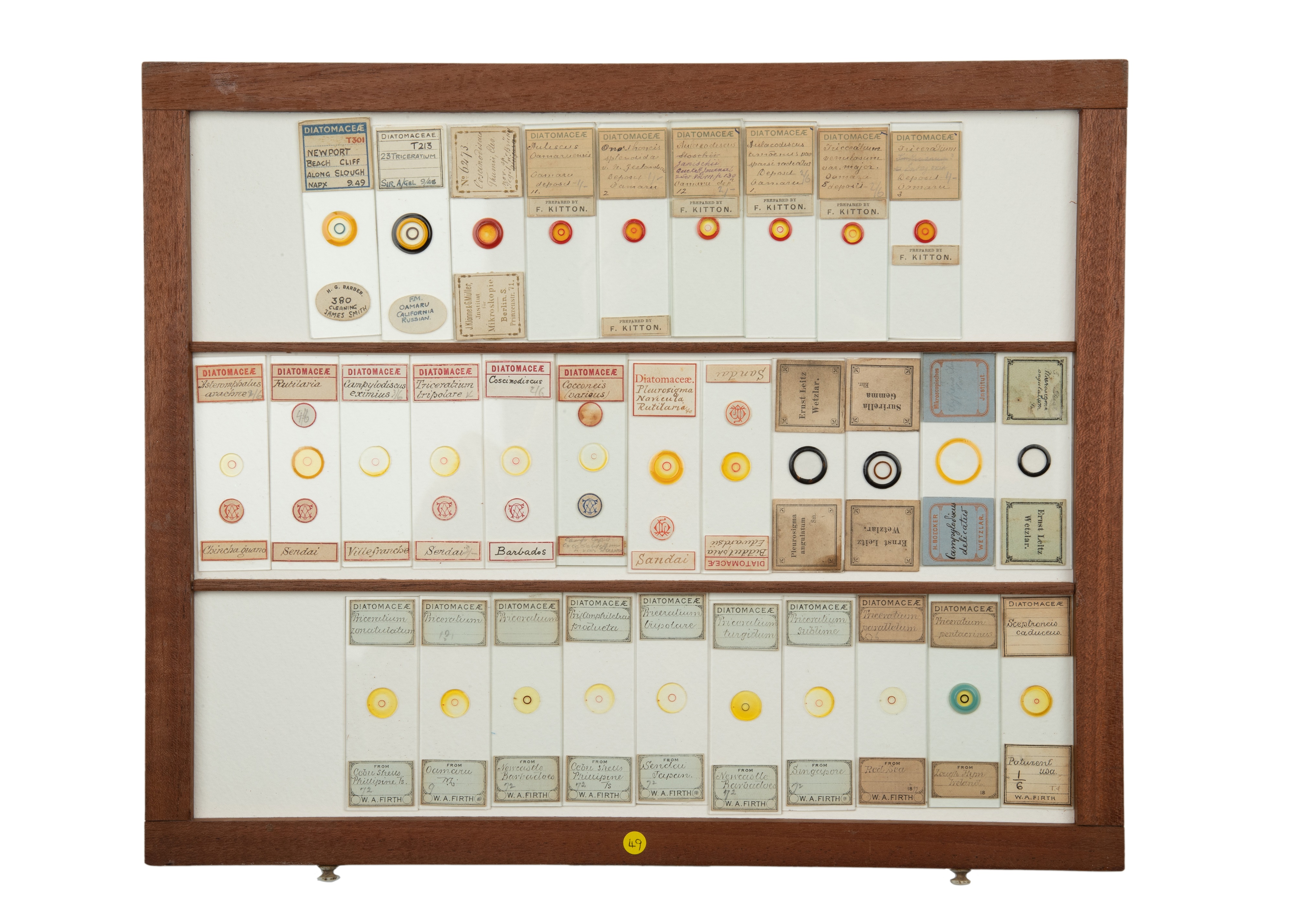 An Exceptional Single Owner Collection Of Victorian & Later Microscope Slides - Image 10 of 92