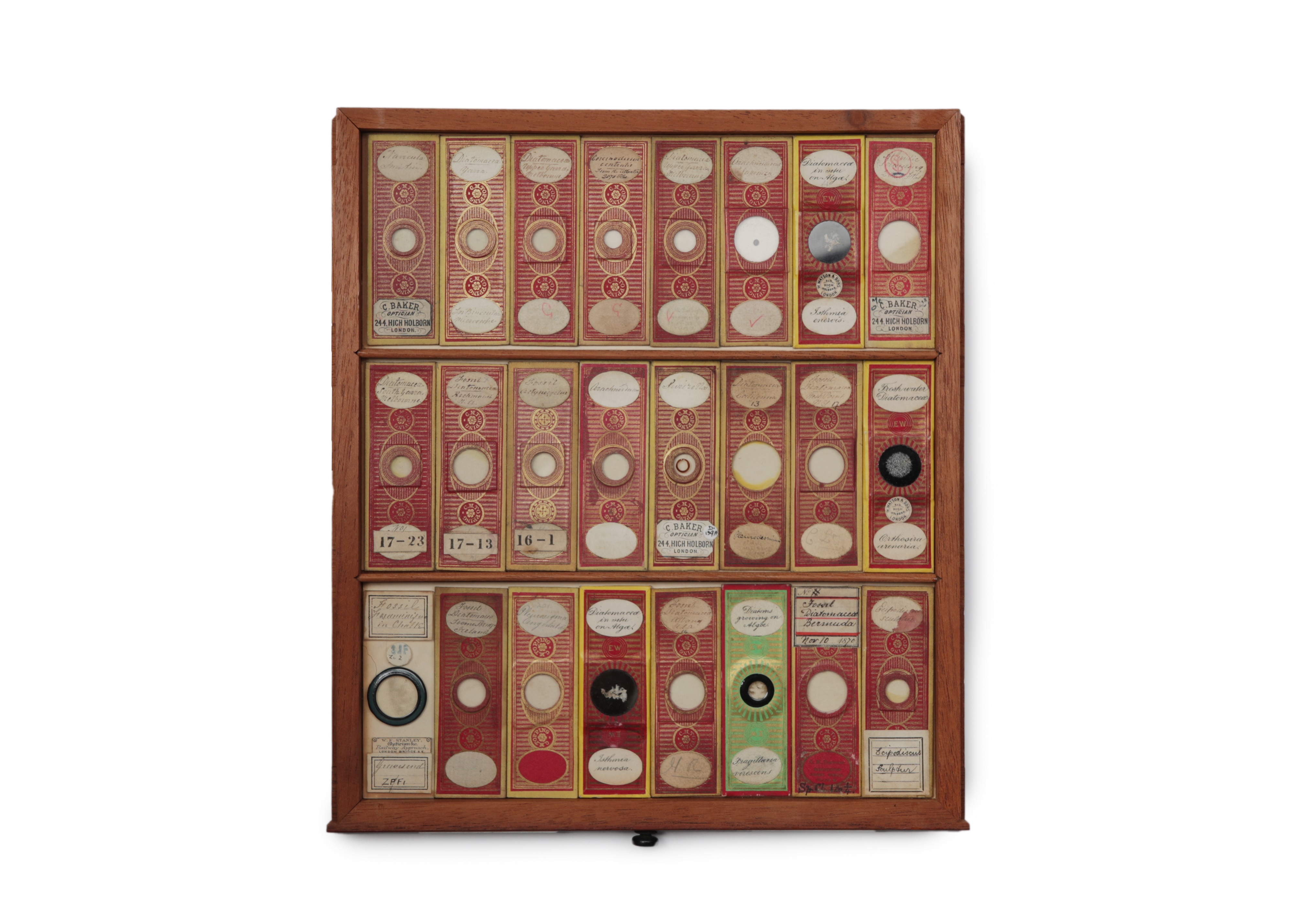 A Large Victorian Cabinet of Microscope Slides, - Image 8 of 20