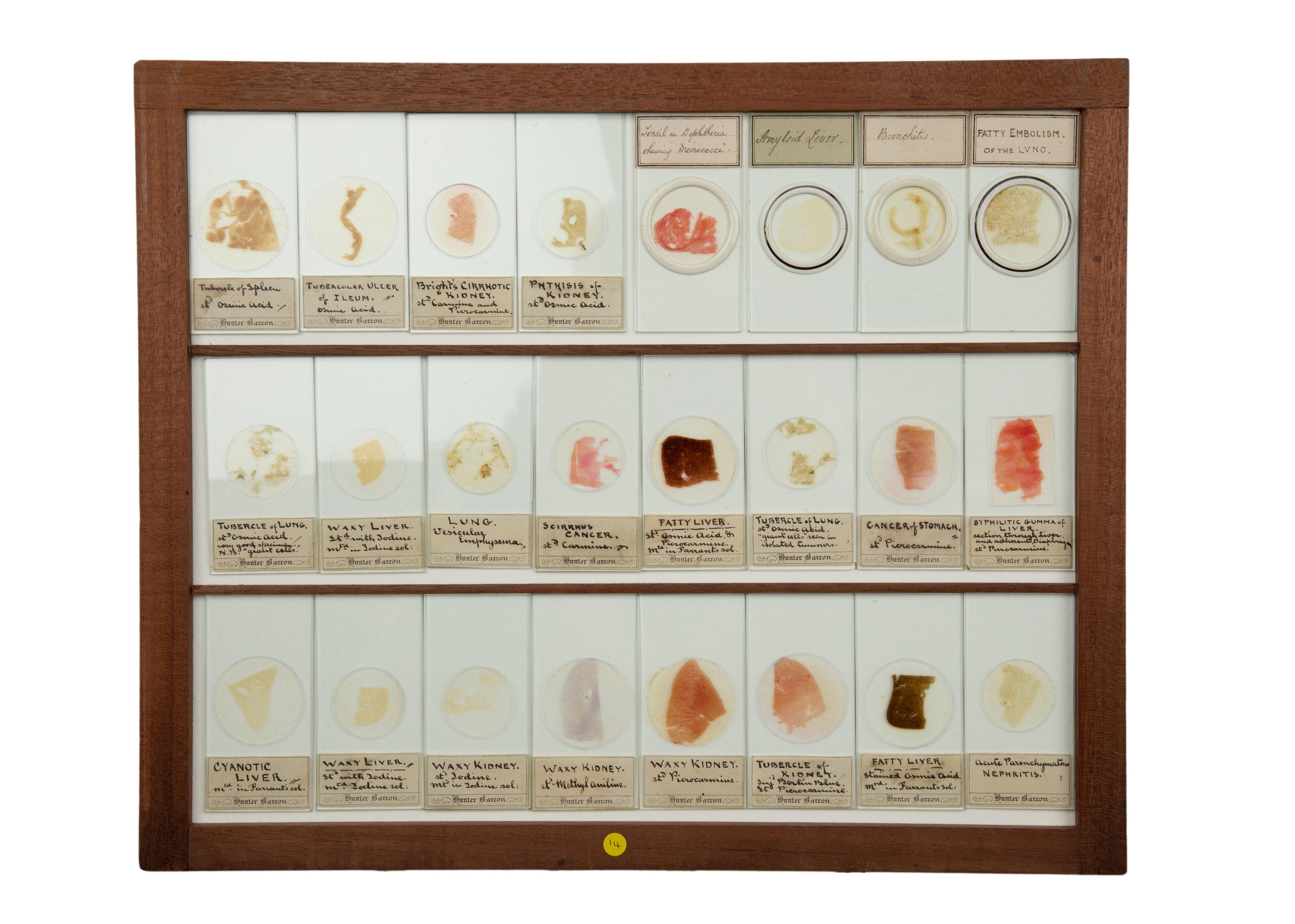 An Exceptional Single Owner Collection Of Victorian & Later Microscope Slides - Image 71 of 92