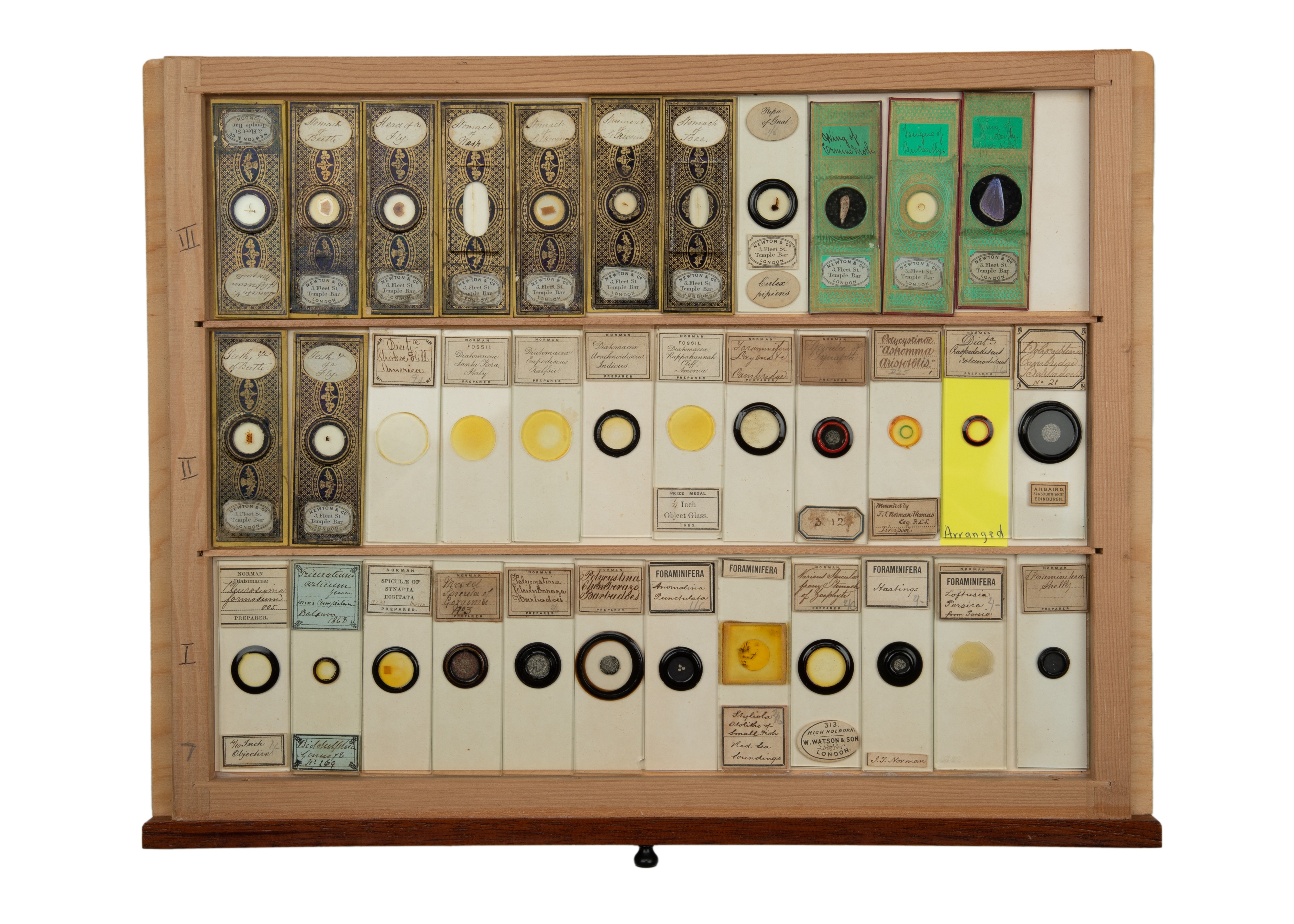 An Exceptional Single Owner Collection Of Victorian & Later Microscope Slides - Image 65 of 92