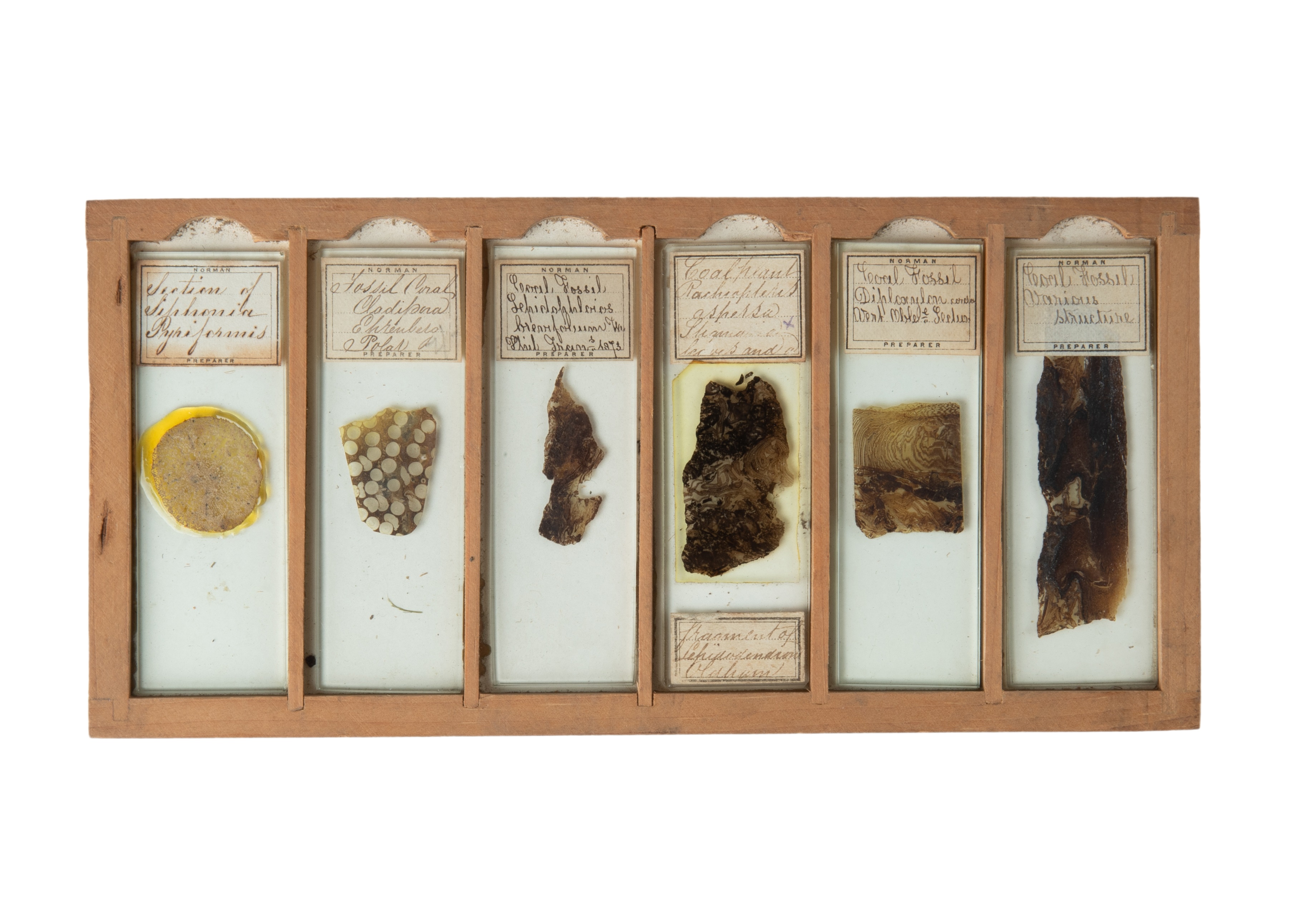 A Very Fine Collection of 76 19th Century Microscope Slides of Fossils, - Image 2 of 14