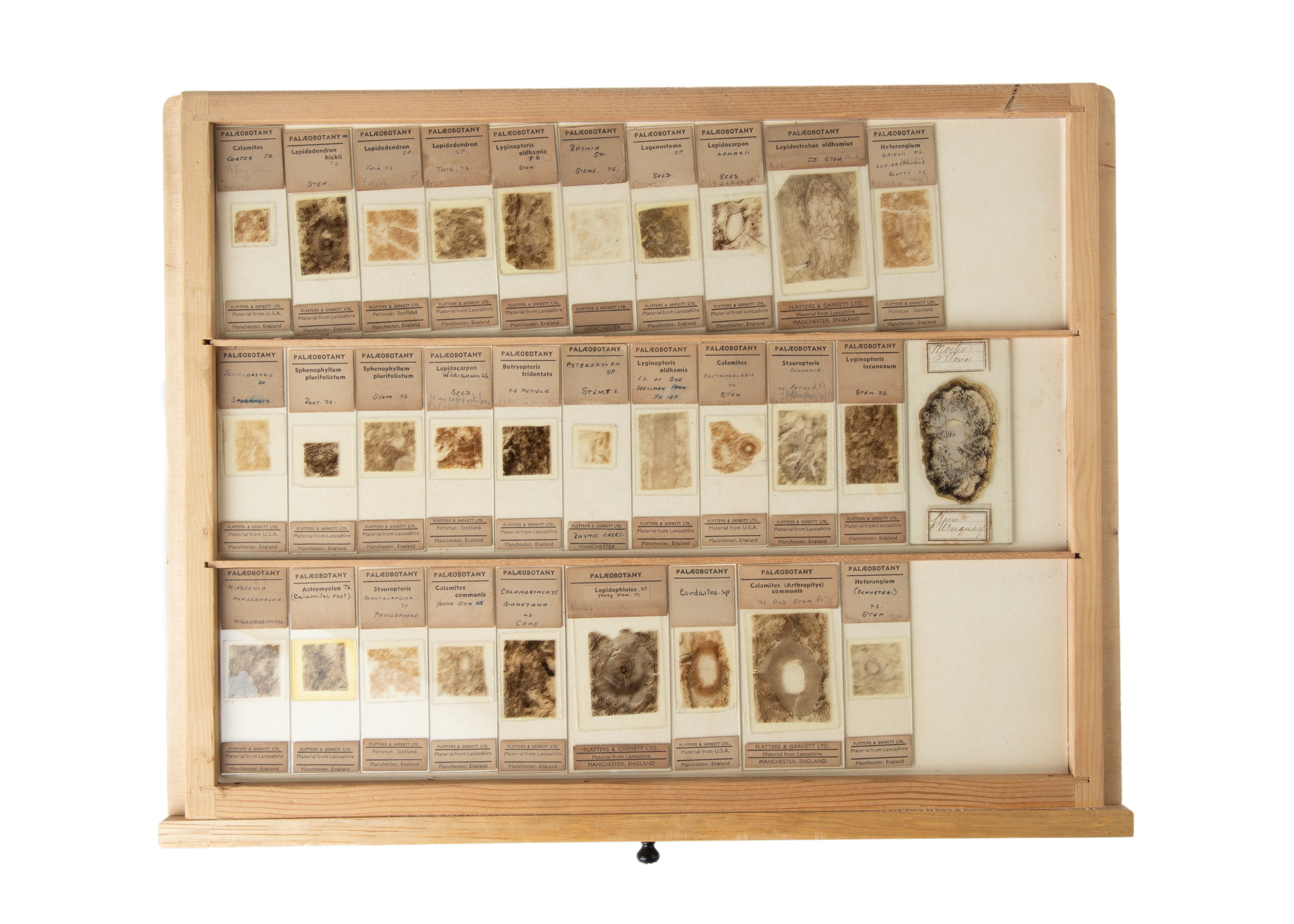 A Very Fine & Large Collection of Geological Microscope Slides, - Image 22 of 29