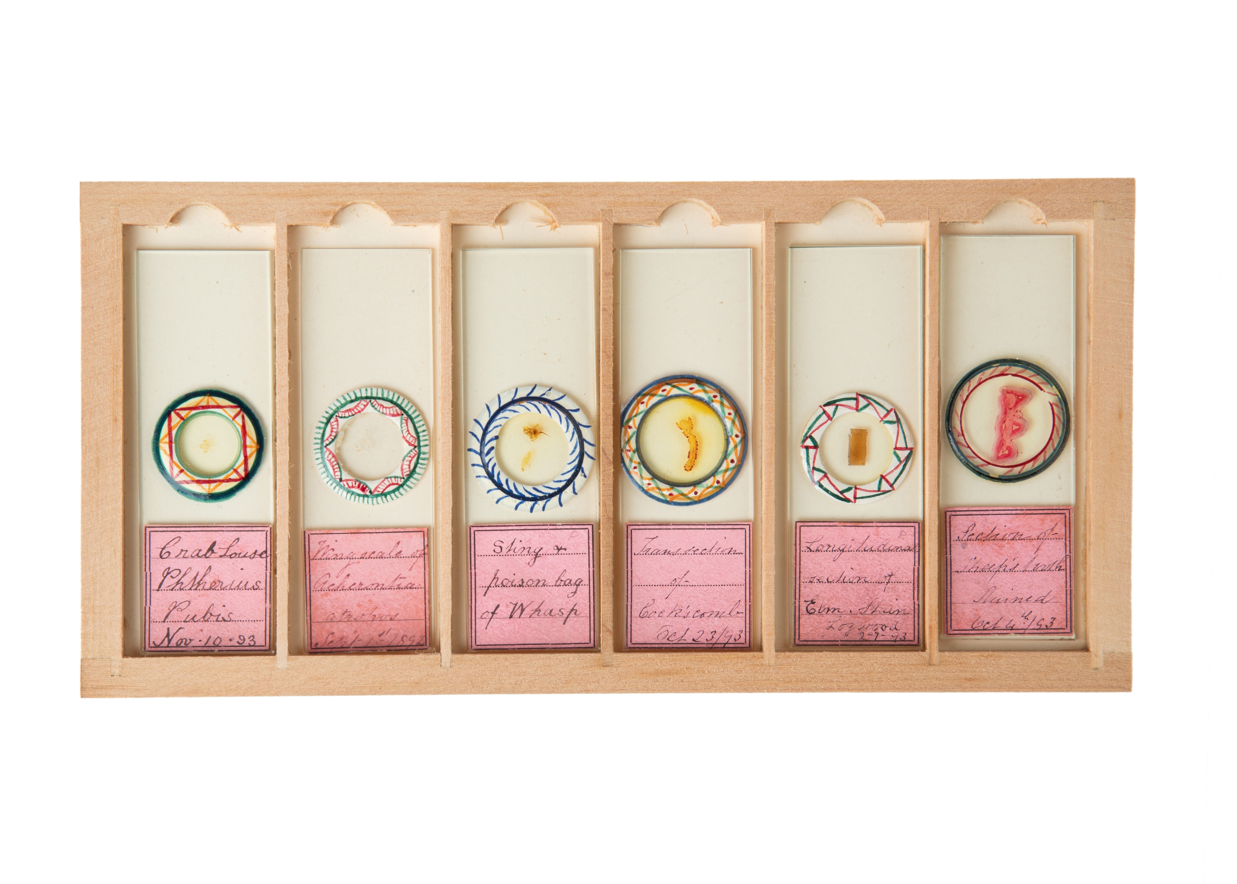 A Fine Set of Delicately Mounted Microscope Slides By James Neville, - Image 5 of 9