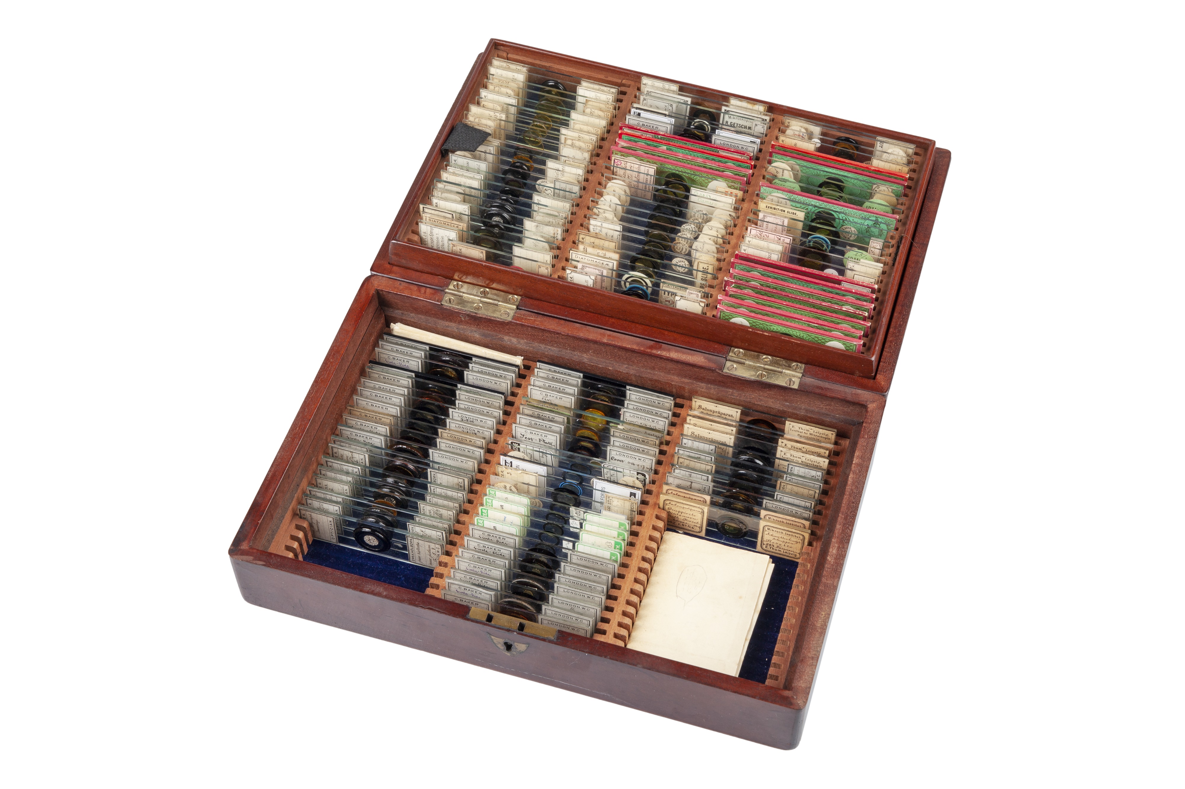 An Impressive Collection of Arranged Diatom & Foraminifera Microscope Slides, - Image 17 of 19