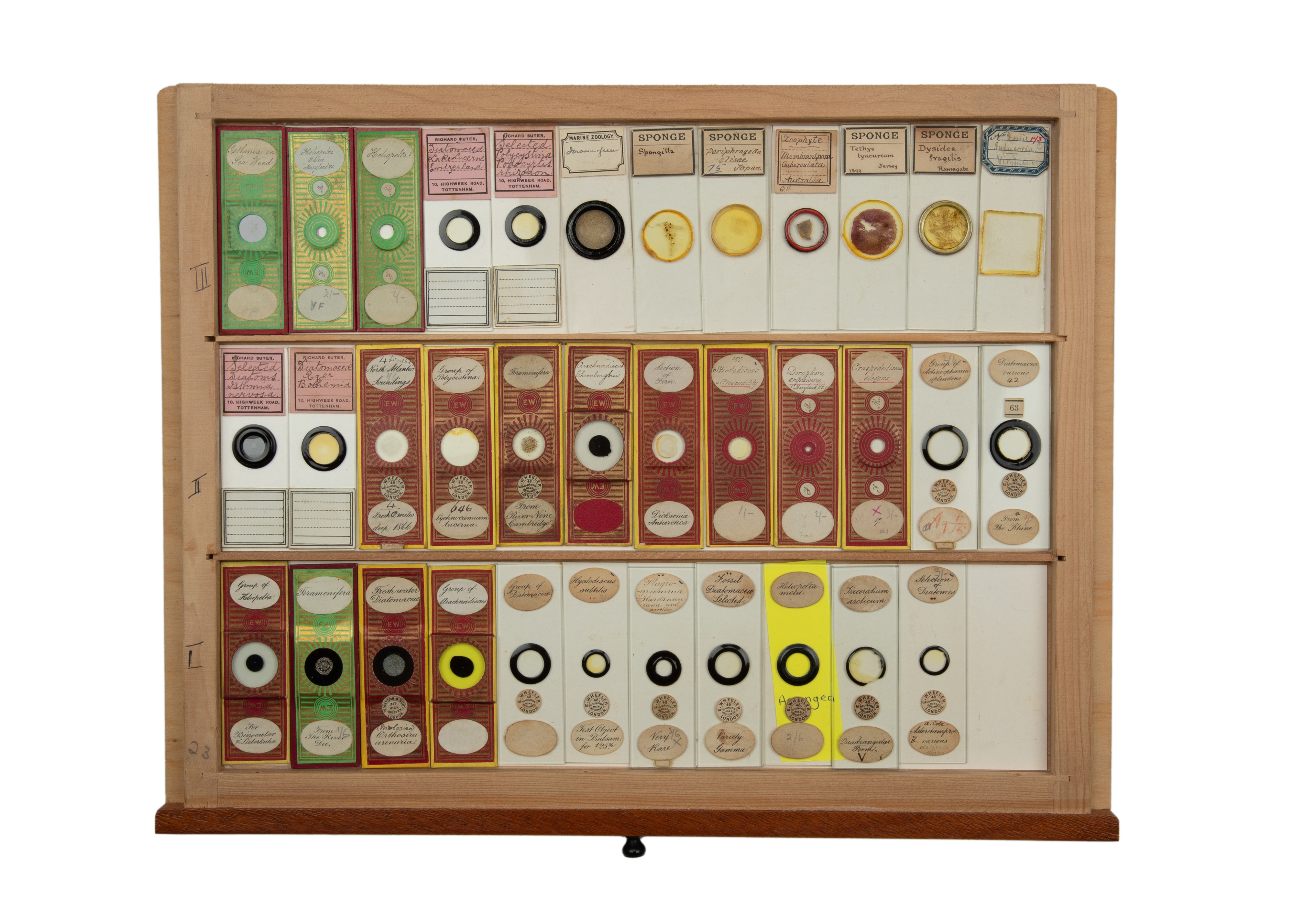 An Exceptional Single Owner Collection Of Victorian & Later Microscope Slides - Image 74 of 92