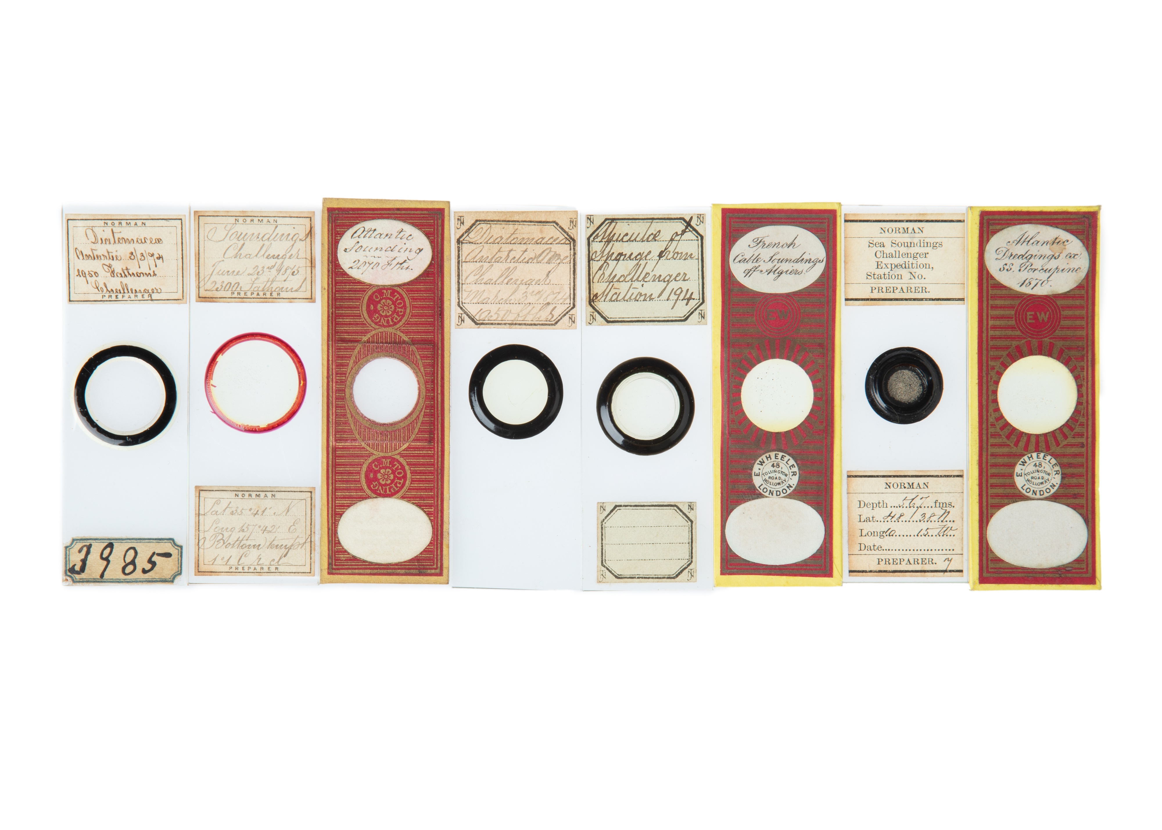 A Collection of 12 Challenger Expedition Microscope Slides, - Image 2 of 3