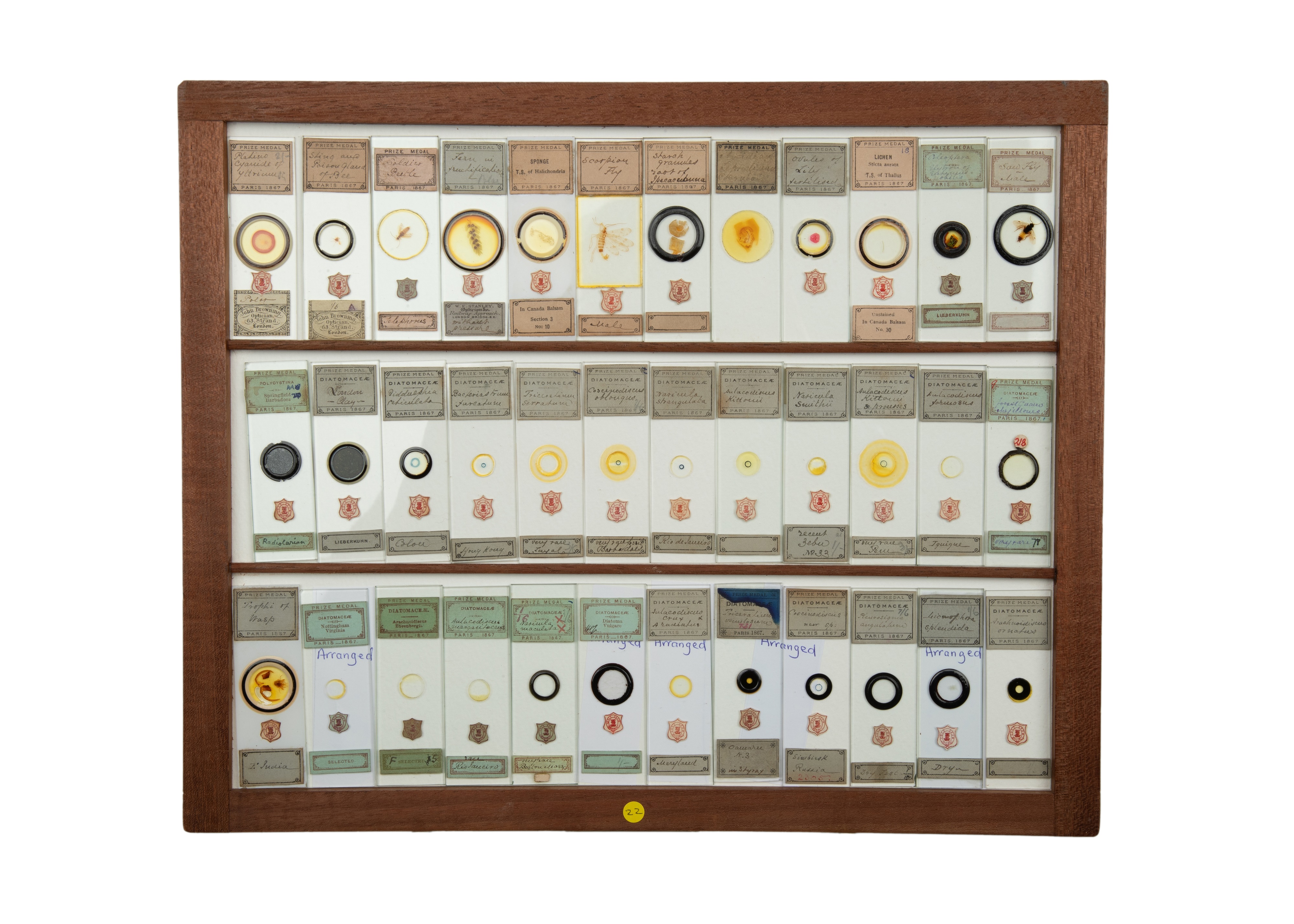 An Exceptional Single Owner Collection Of Victorian & Later Microscope Slides - Image 28 of 92