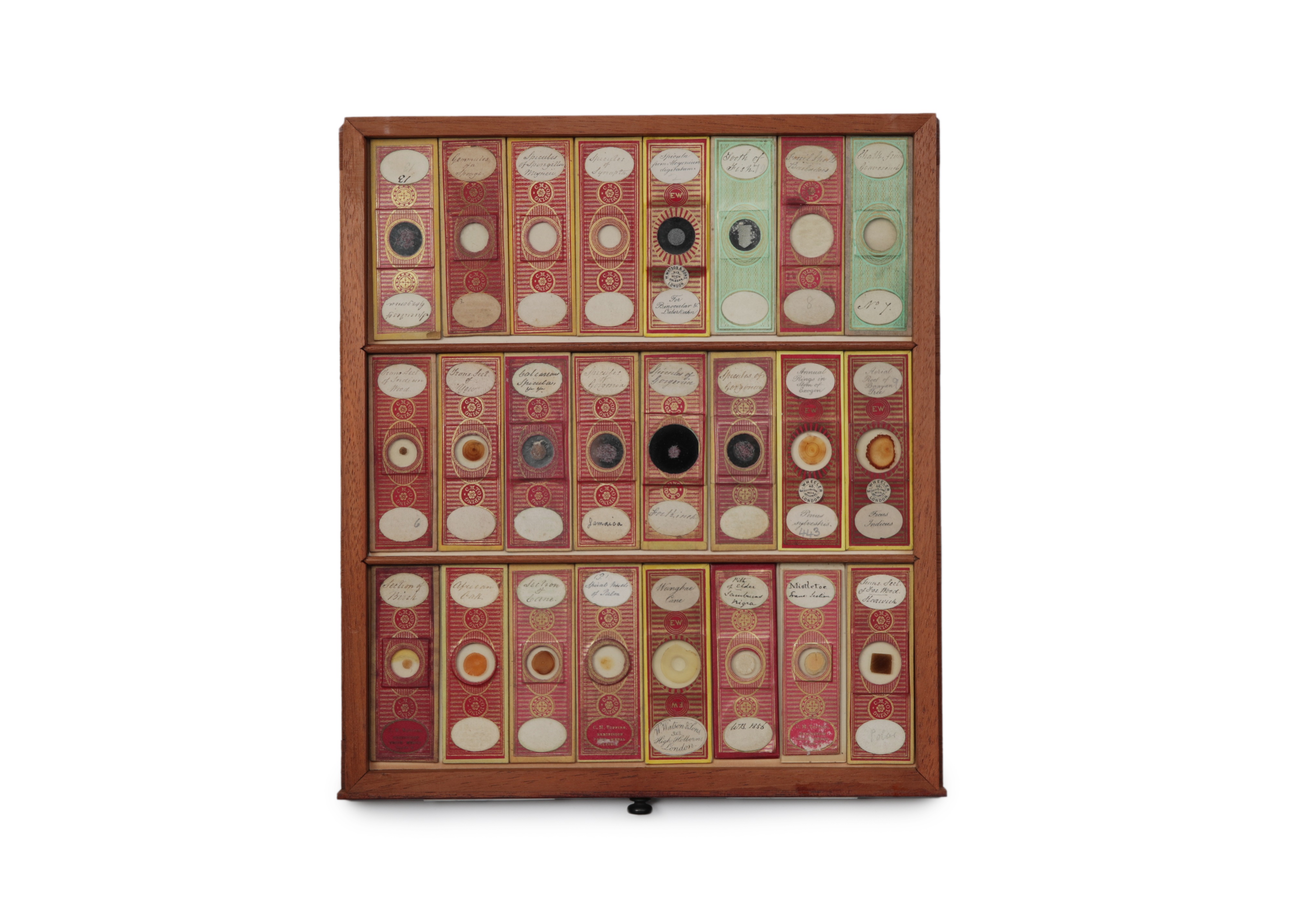 A Large Victorian Cabinet of Microscope Slides, - Image 16 of 20