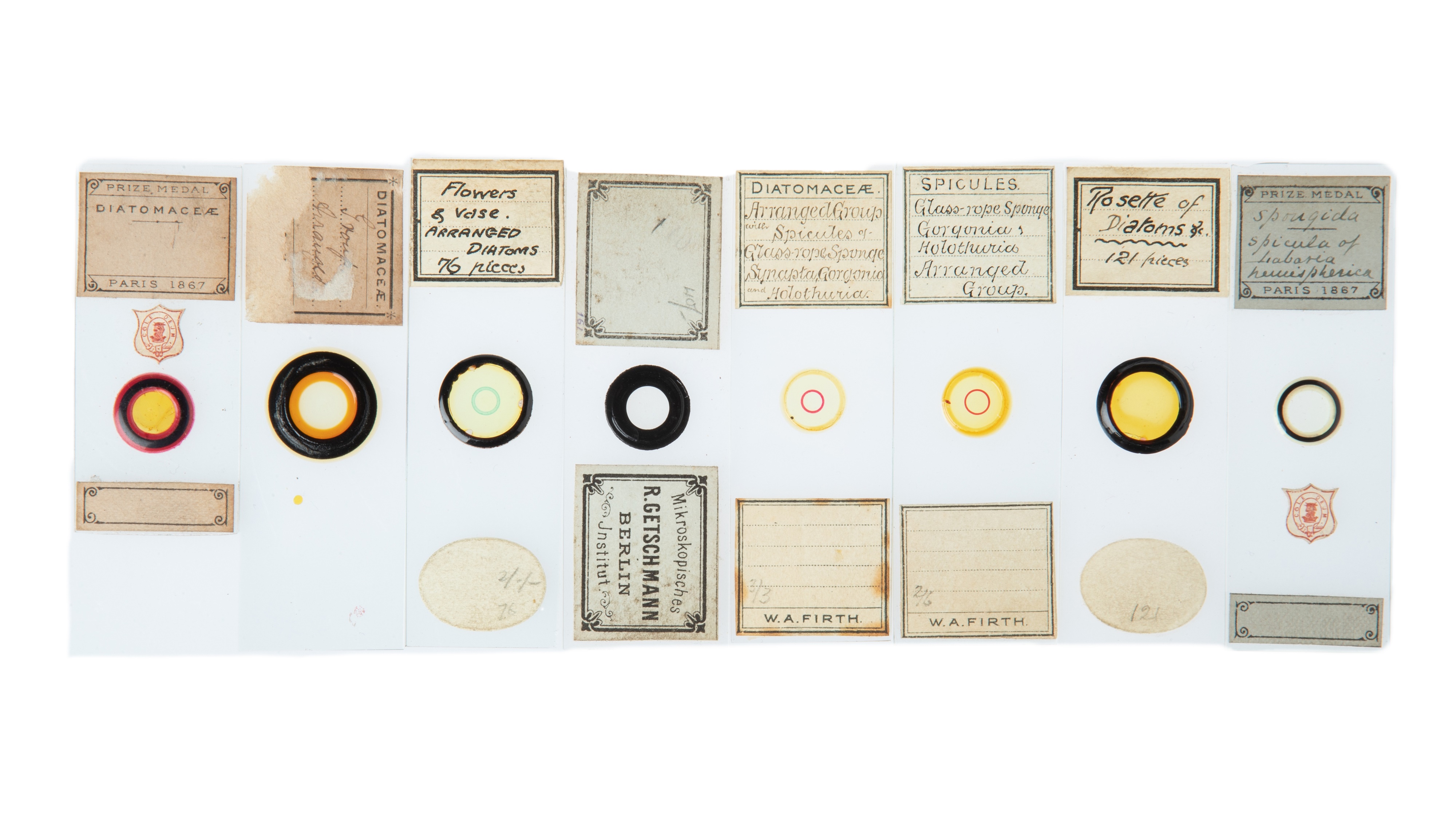 An Impressive Collection of Arranged Diatom & Foraminifera Microscope Slides, - Image 11 of 19