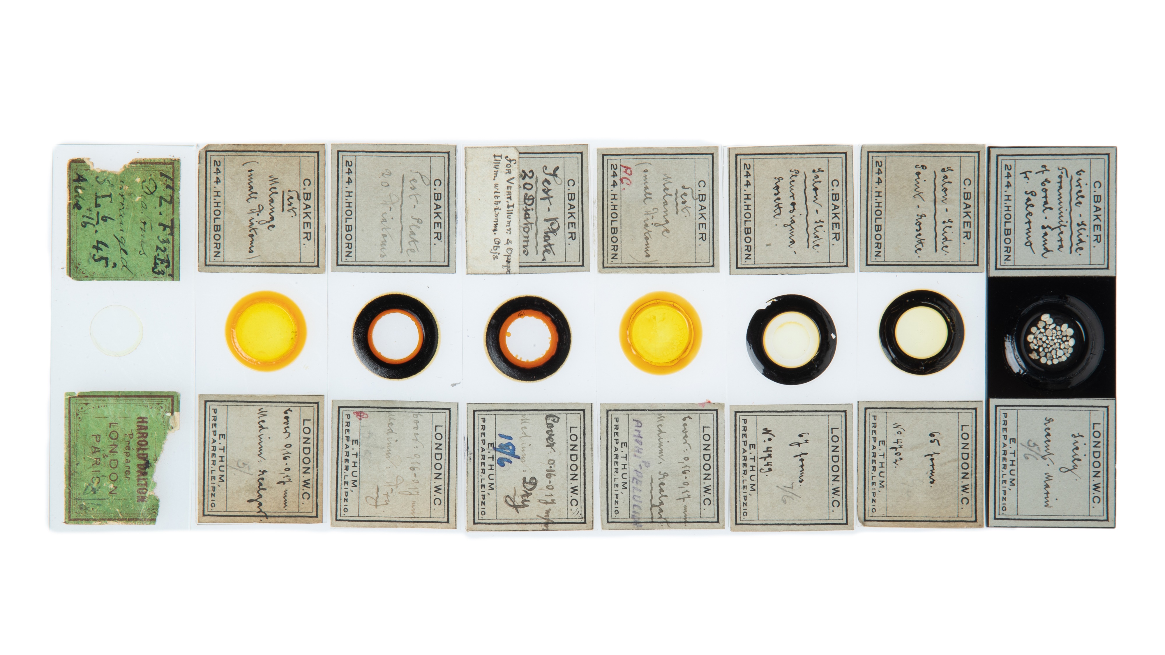 An Impressive Collection of Arranged Diatom & Foraminifera Microscope Slides, - Image 9 of 19