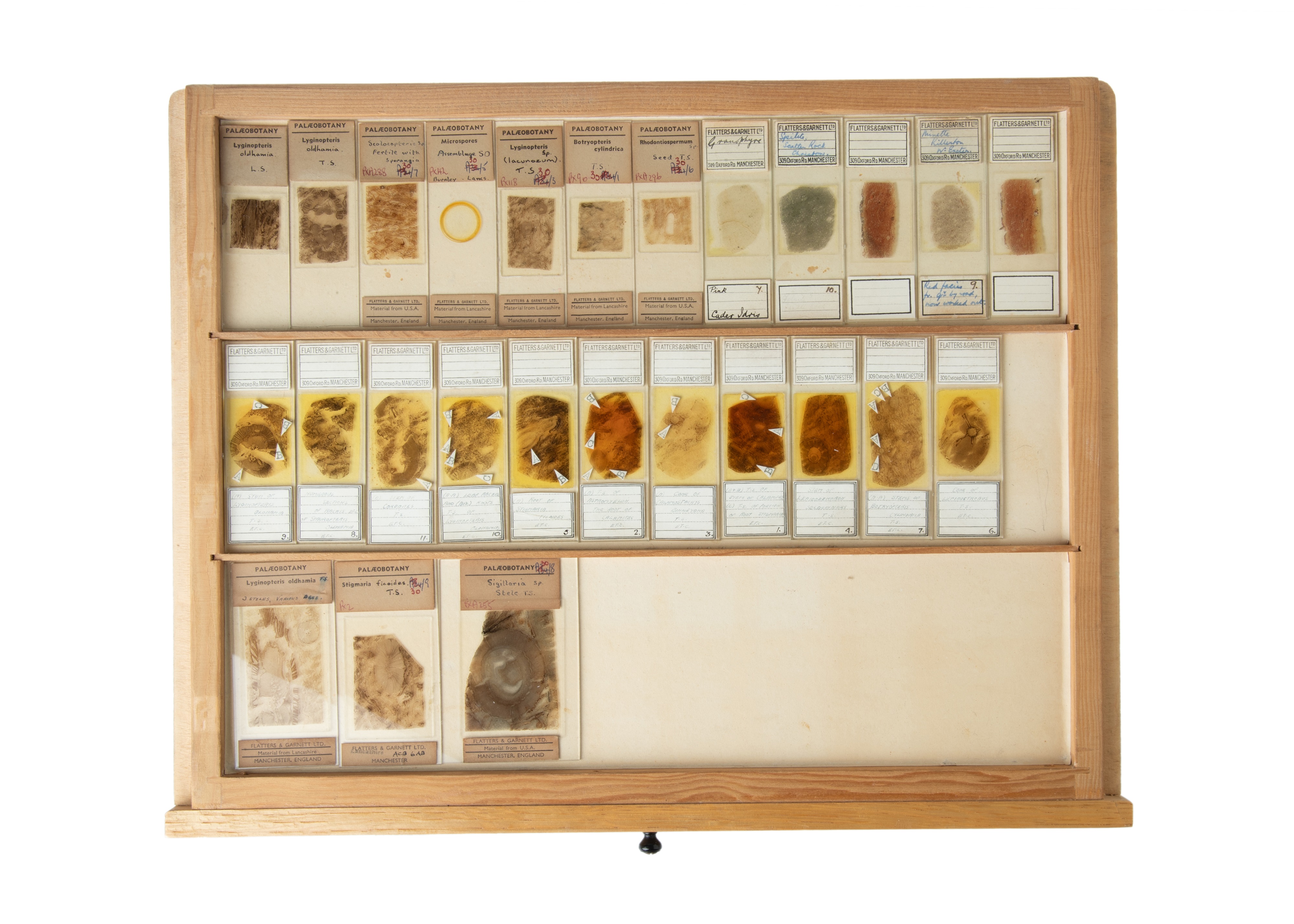 A Very Fine & Large Collection of Geological Microscope Slides, - Image 18 of 29