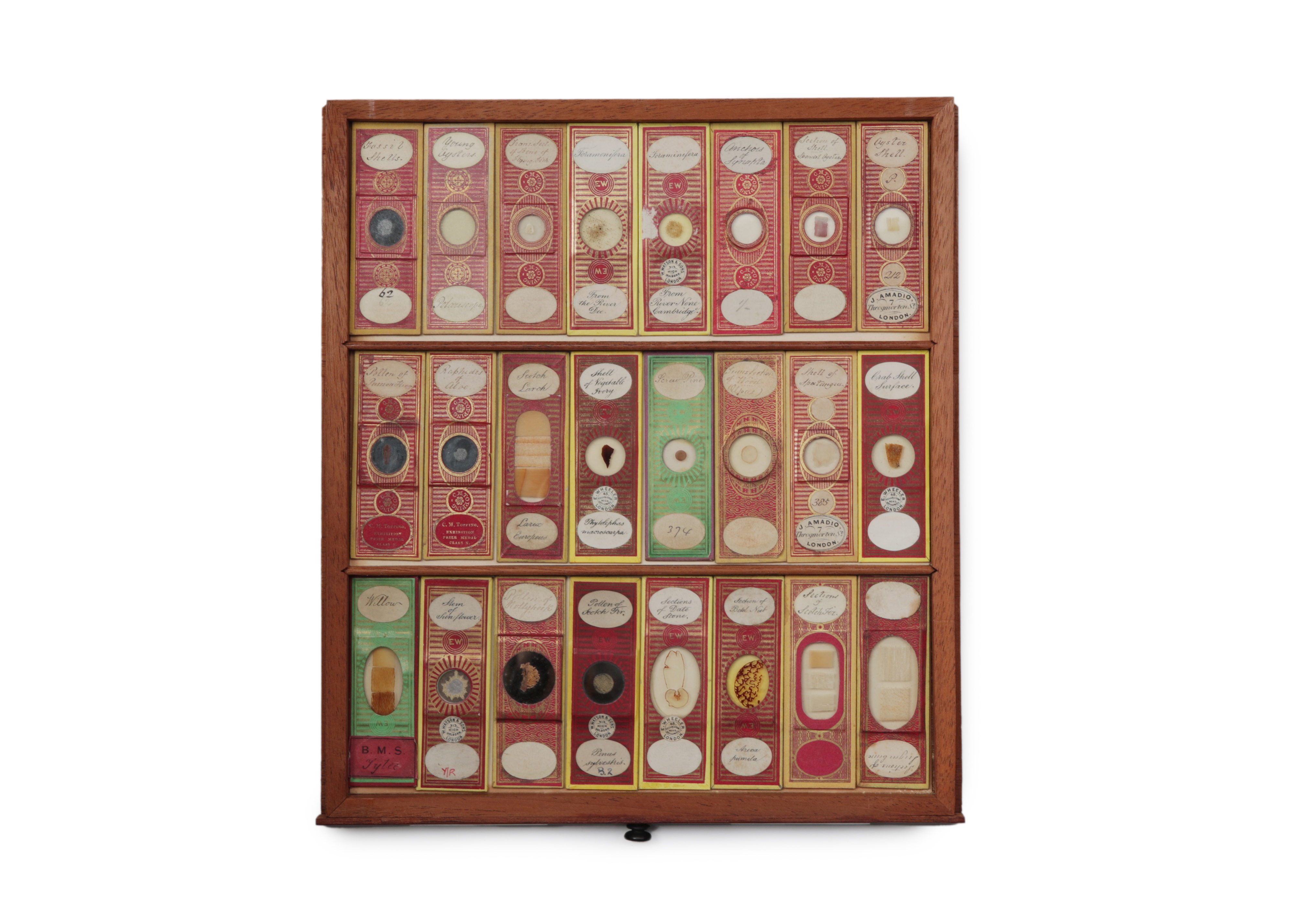 A Large Victorian Cabinet of Microscope Slides, - Image 15 of 20