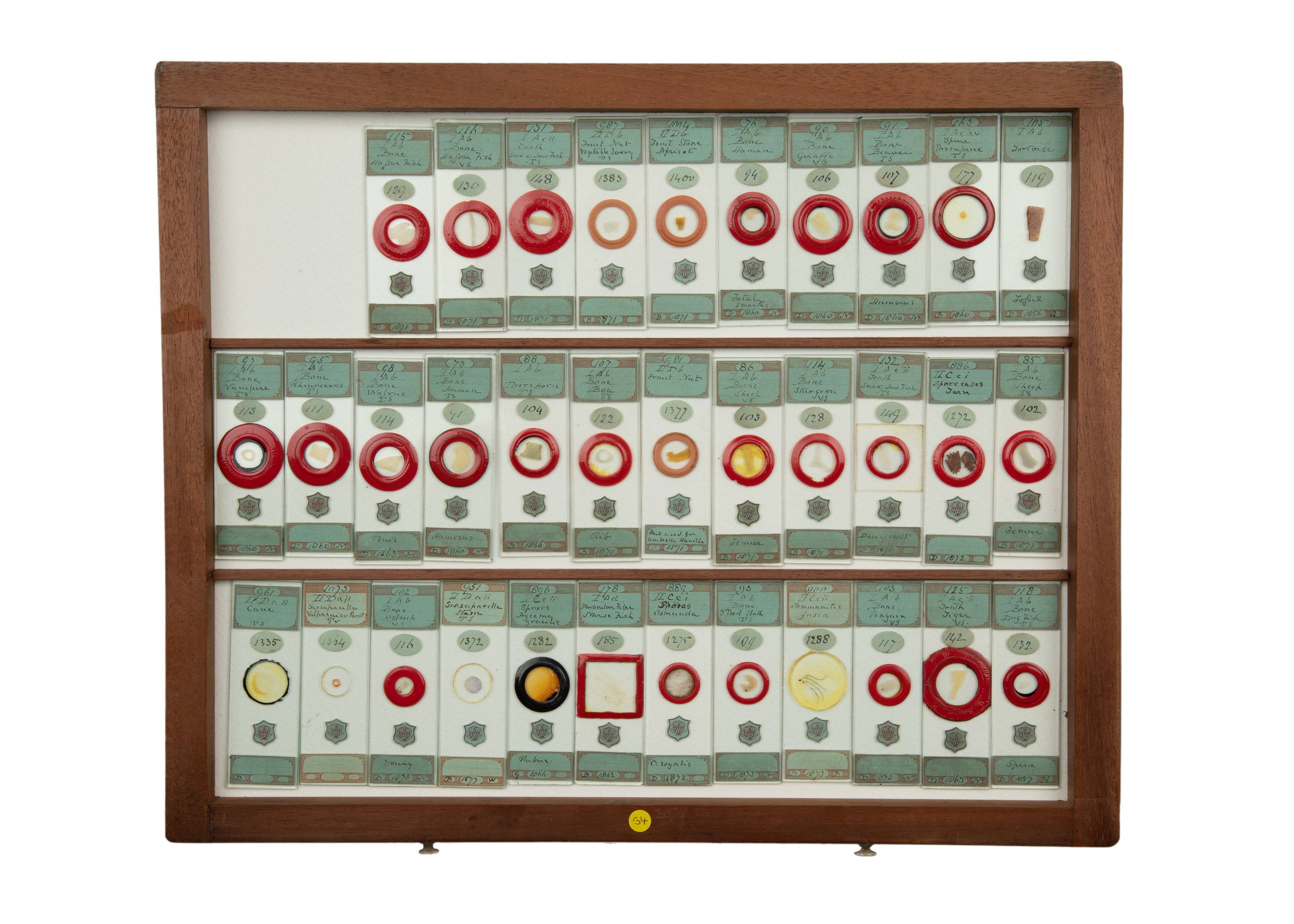 An Exceptional Single Owner Collection Of Victorian & Later Microscope Slides - Image 21 of 92