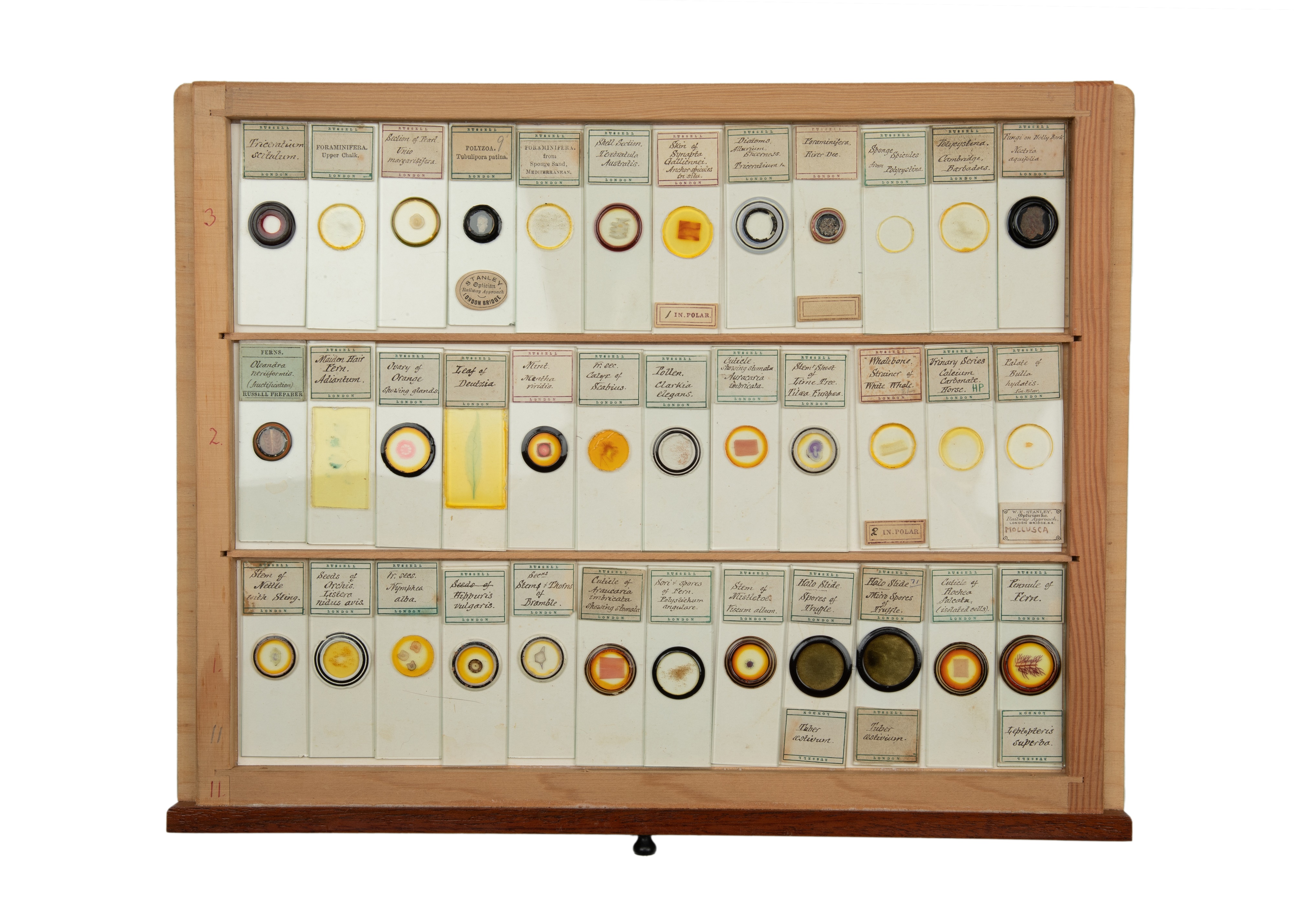 An Exceptional Single Owner Collection Of Victorian & Later Microscope Slides - Image 87 of 92