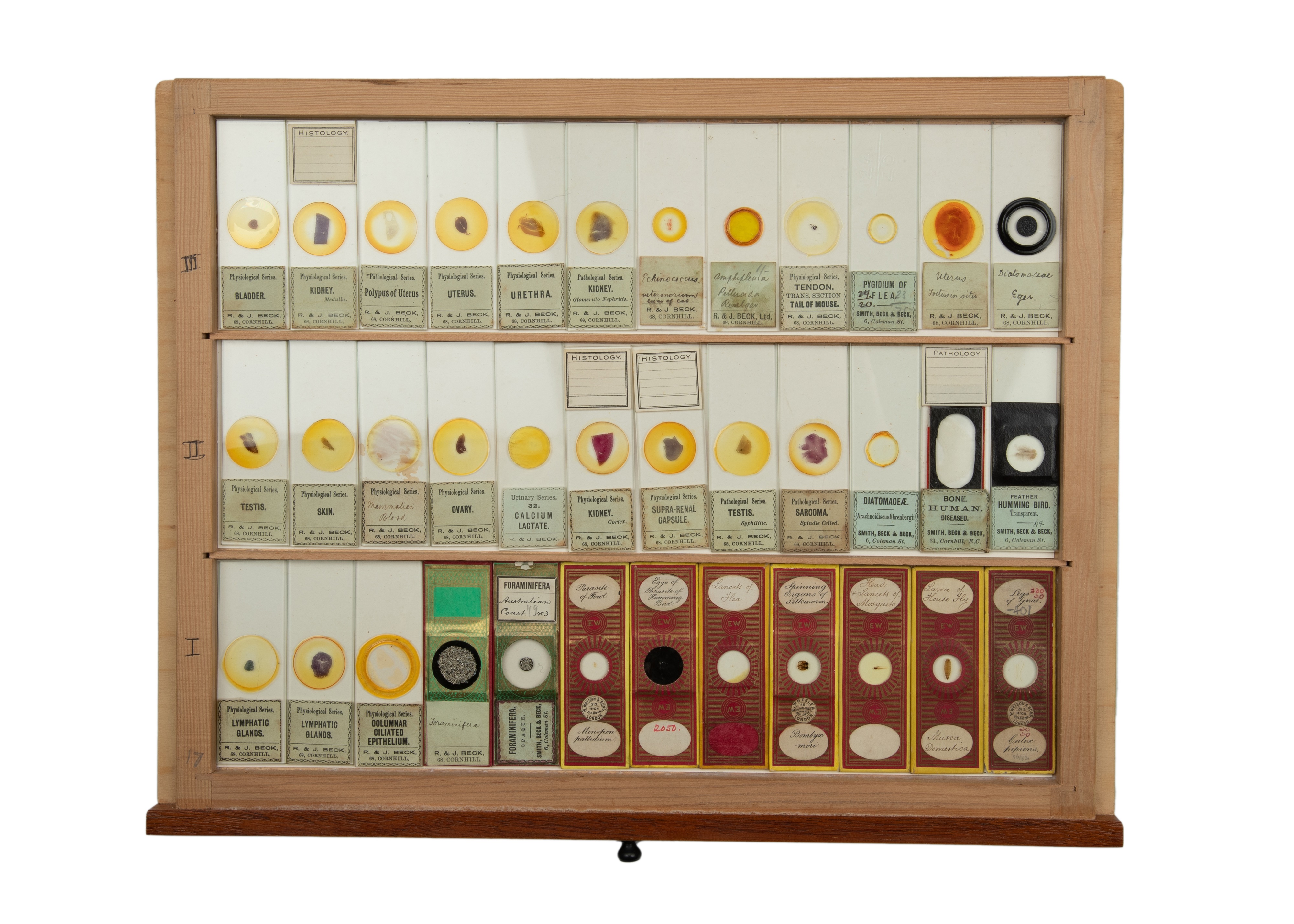 An Exceptional Single Owner Collection Of Victorian & Later Microscope Slides - Image 66 of 92