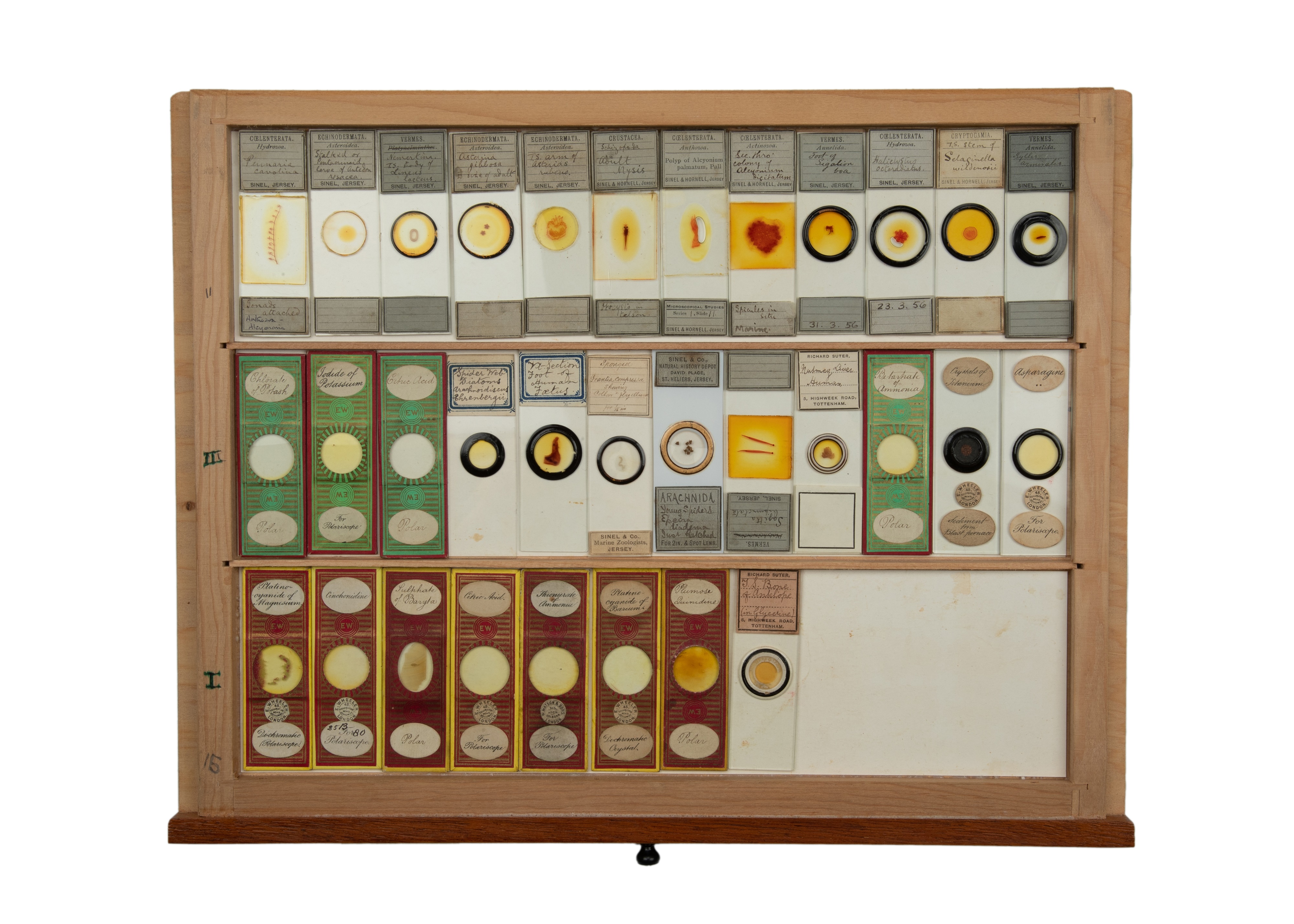 An Exceptional Single Owner Collection Of Victorian & Later Microscope Slides - Image 81 of 92