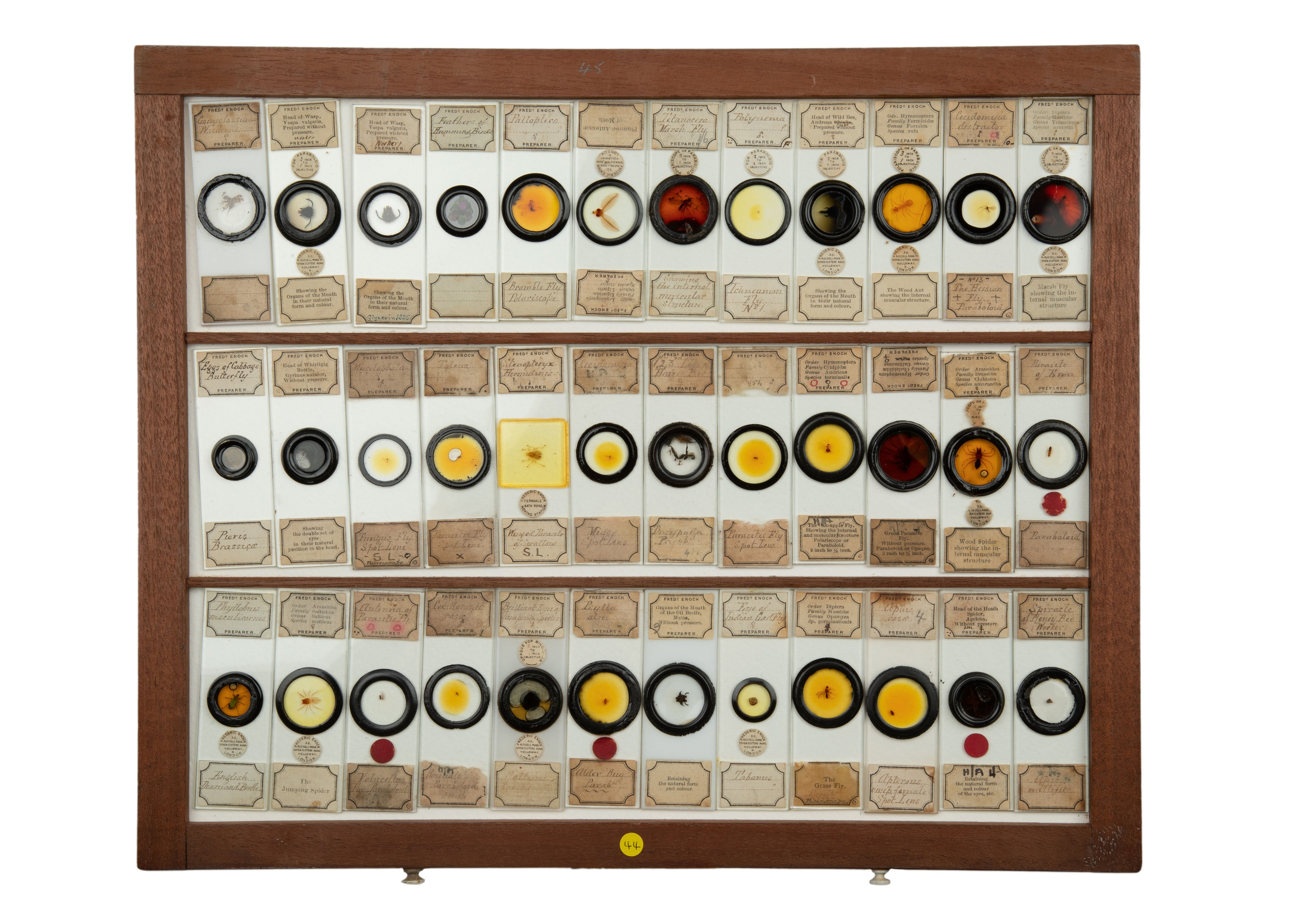 An Exceptional Single Owner Collection Of Victorian & Later Microscope Slides - Image 14 of 92