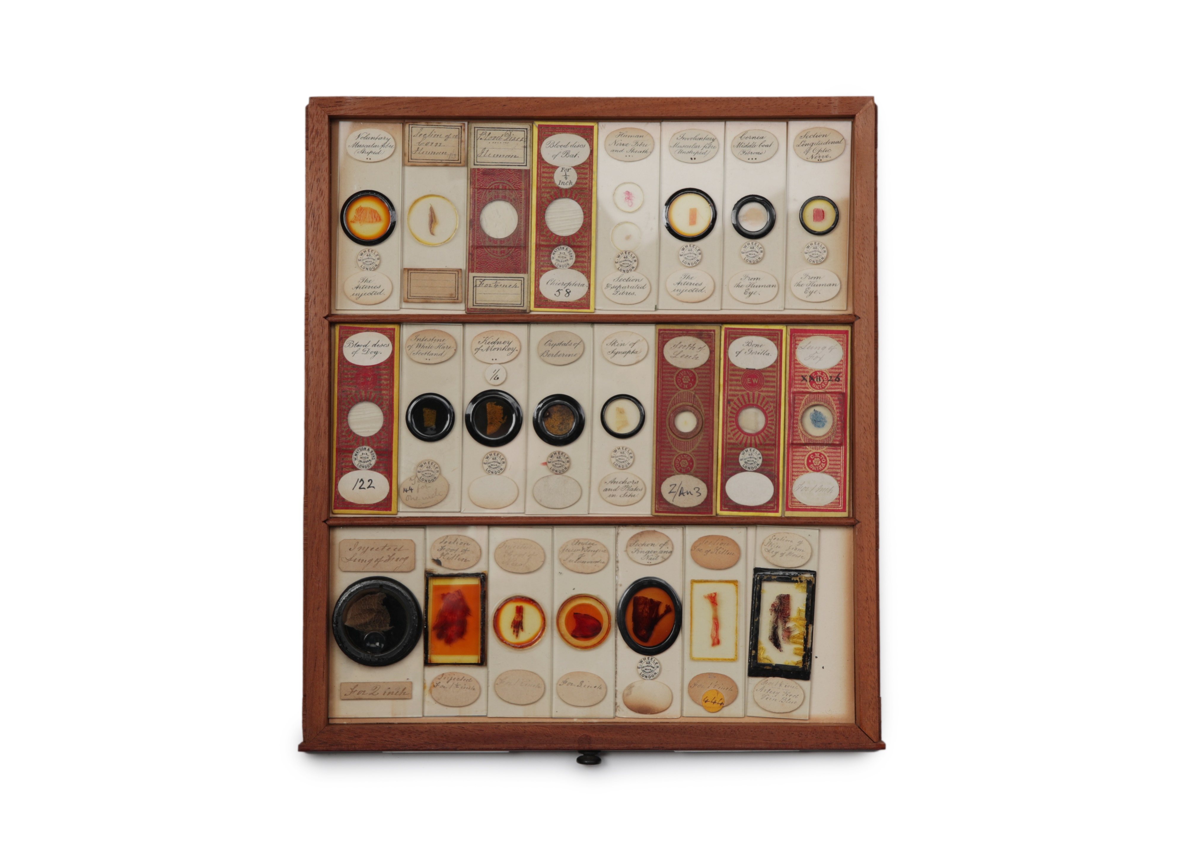 A Large Victorian Cabinet of Microscope Slides, - Image 2 of 20