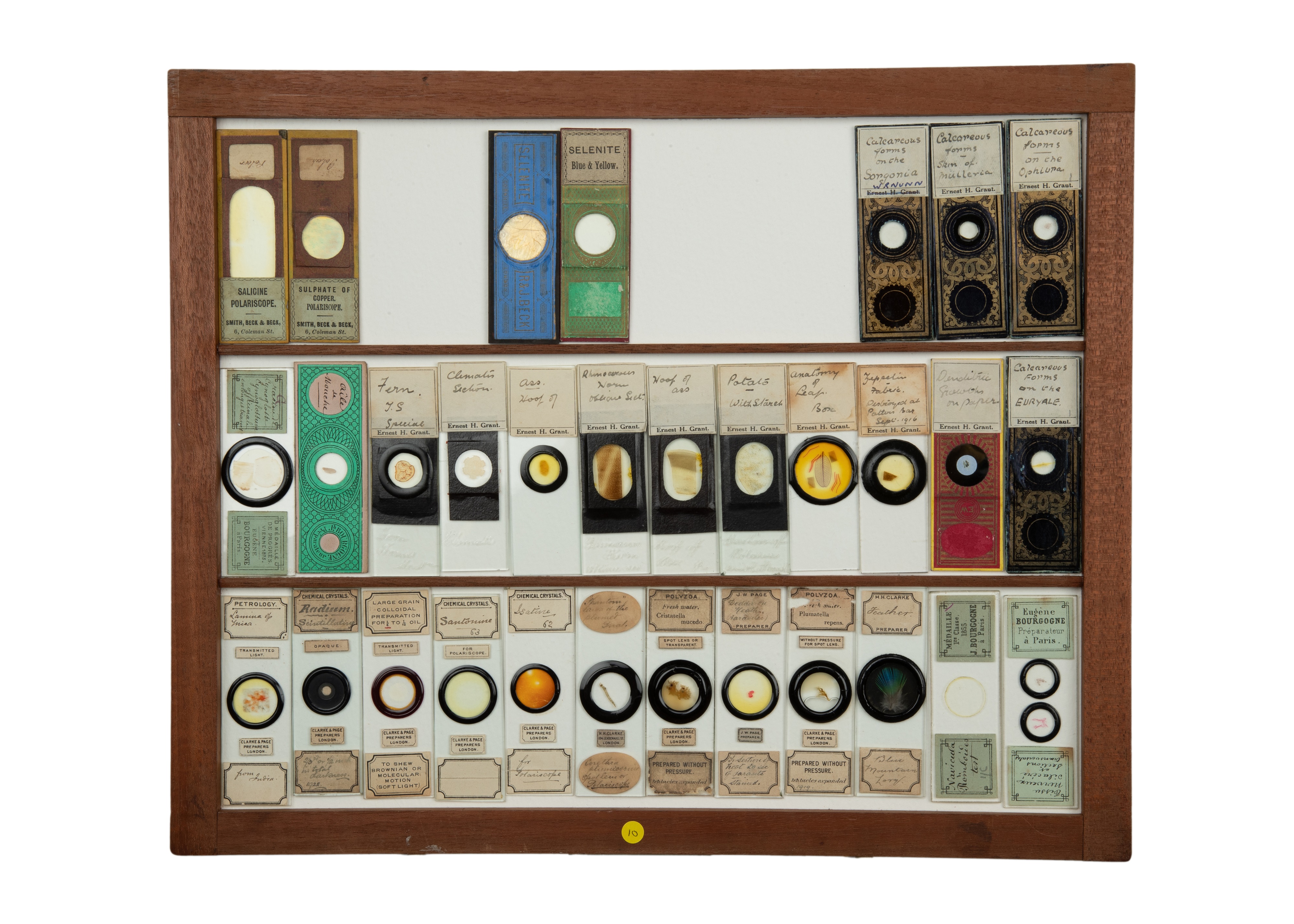 An Exceptional Single Owner Collection Of Victorian & Later Microscope Slides - Image 50 of 92